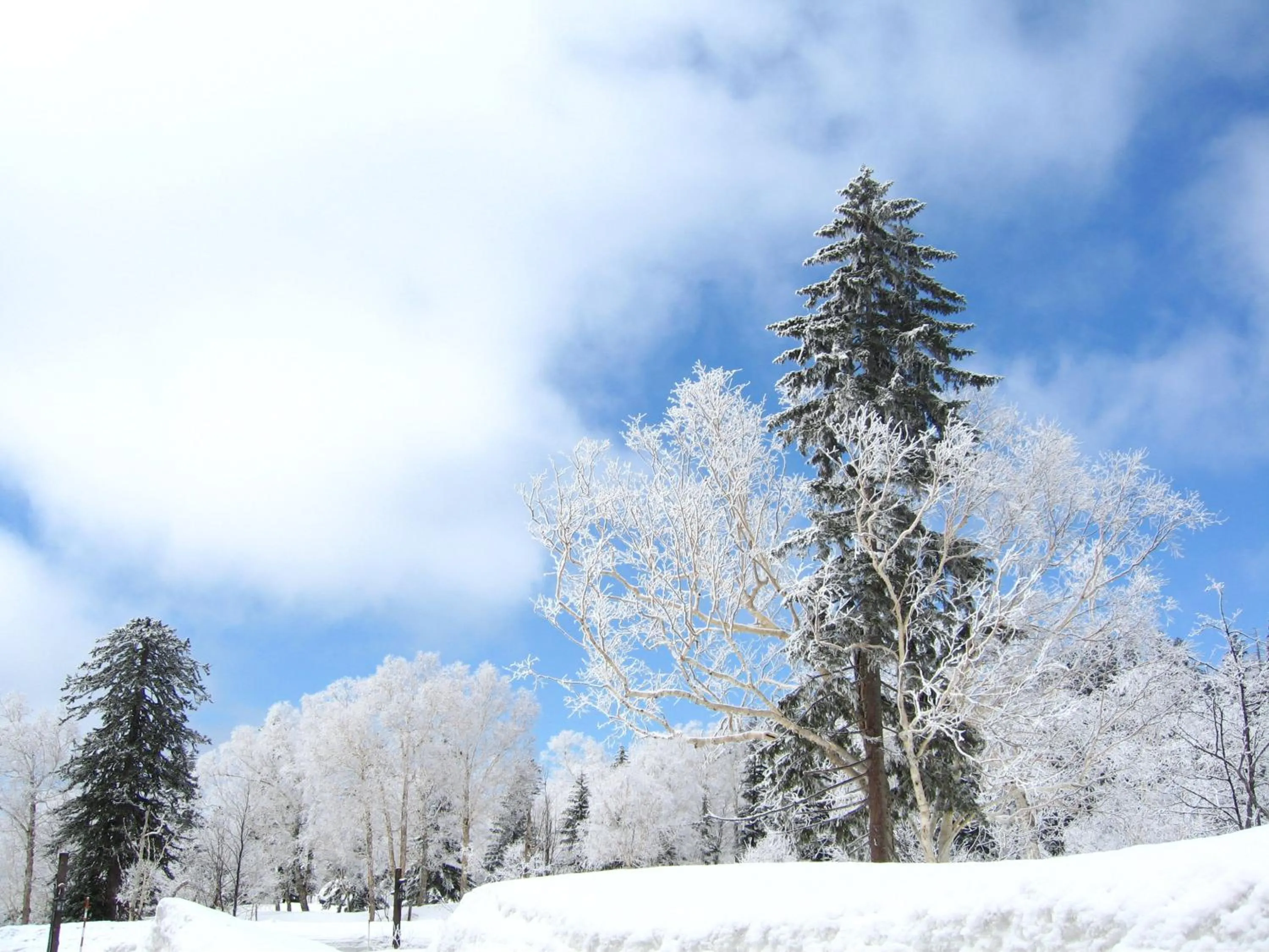 Natural landscape in Higashikawa Asahidake Onsen Hotel Bear Monte