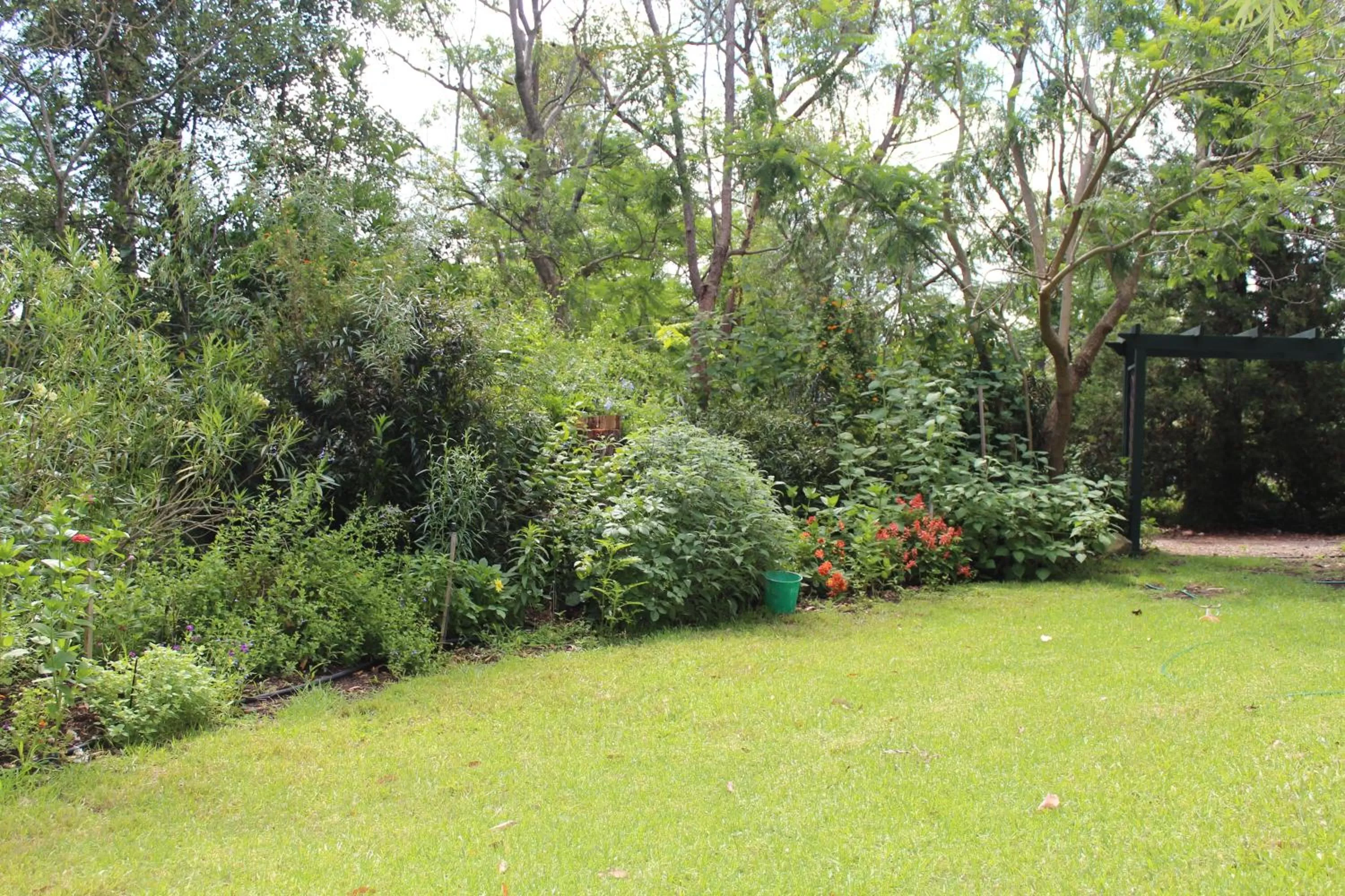 Garden in Storey Grange