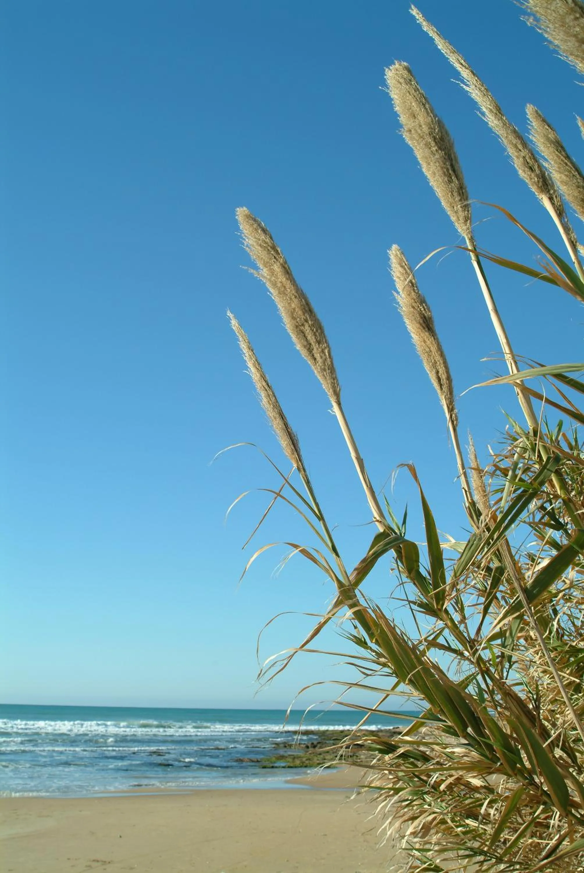Beach in Andrea Doria Hotel