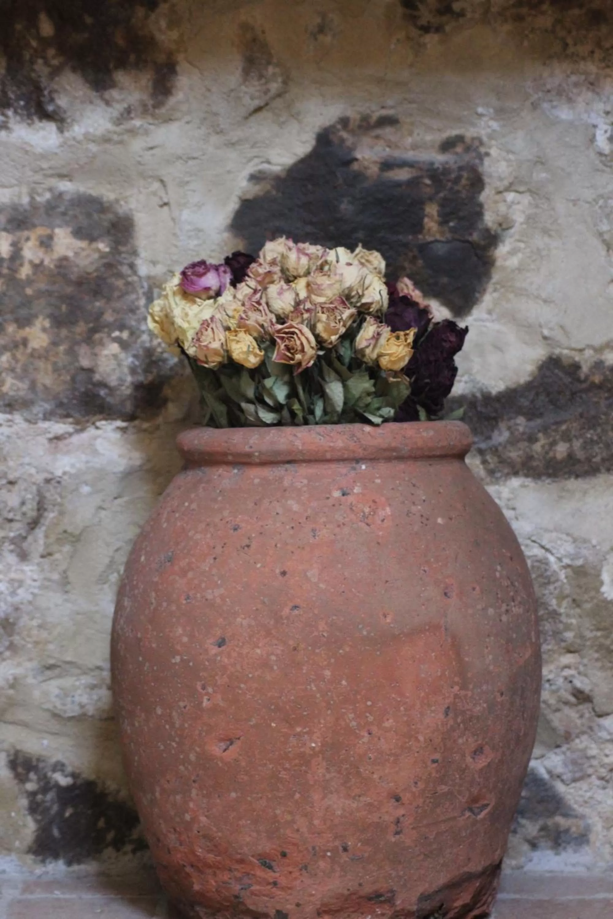 Affittacamere La Torre di Montalcino