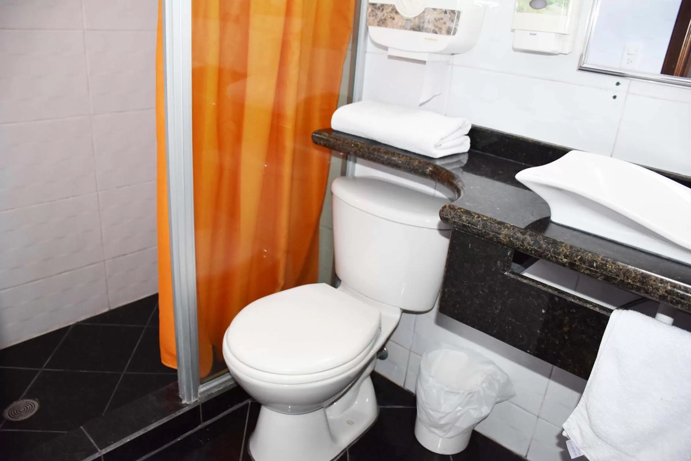 Bathroom in Hotel Plaza Victoria