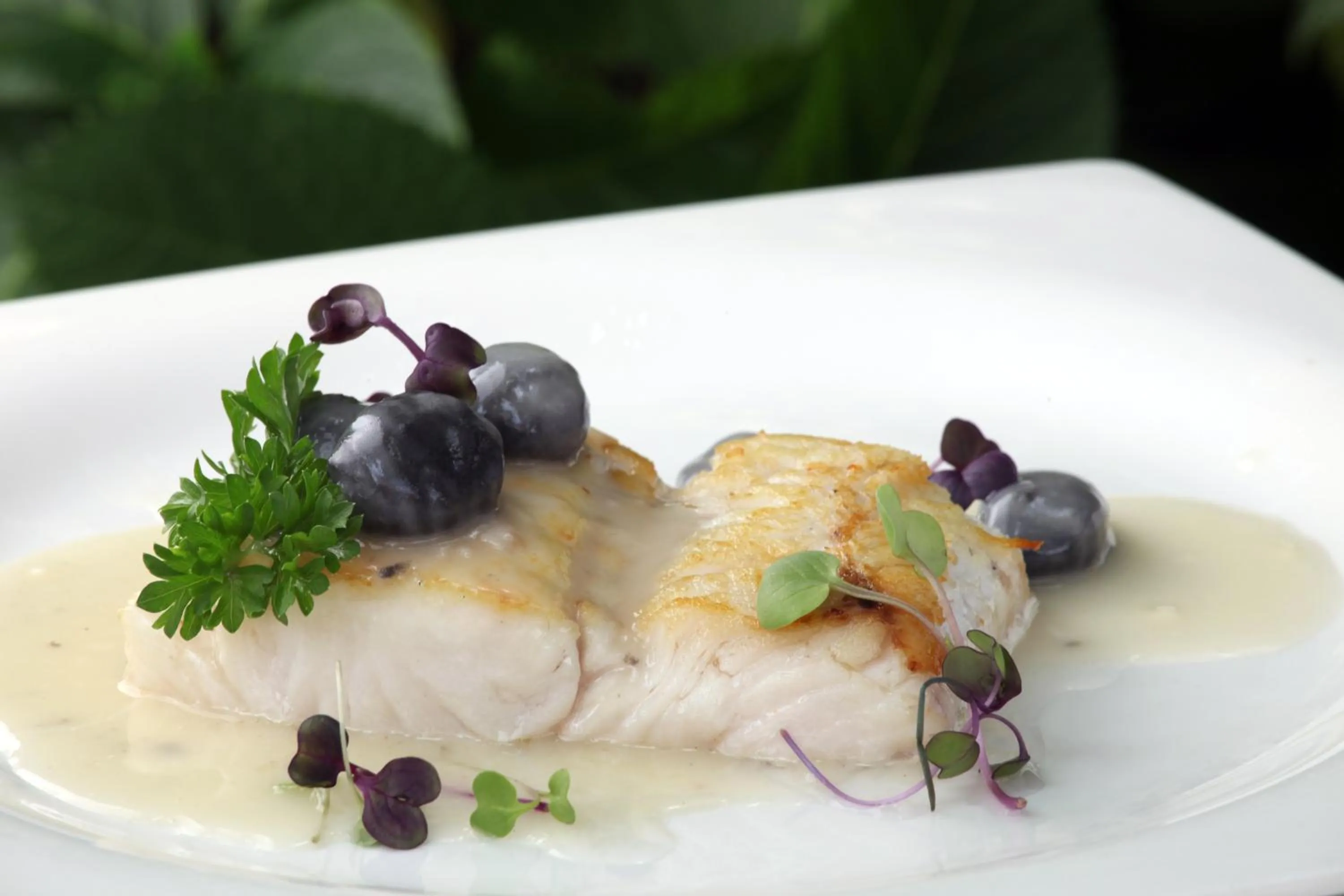 Food close-up in La Quinta de los Cedros