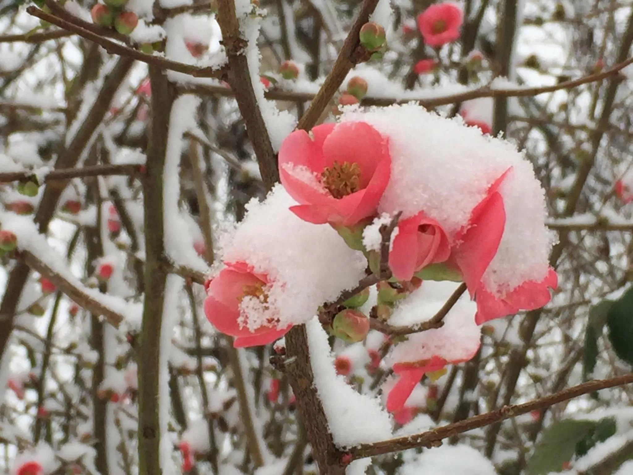 Day in Les Colonnes De Chanteloup
