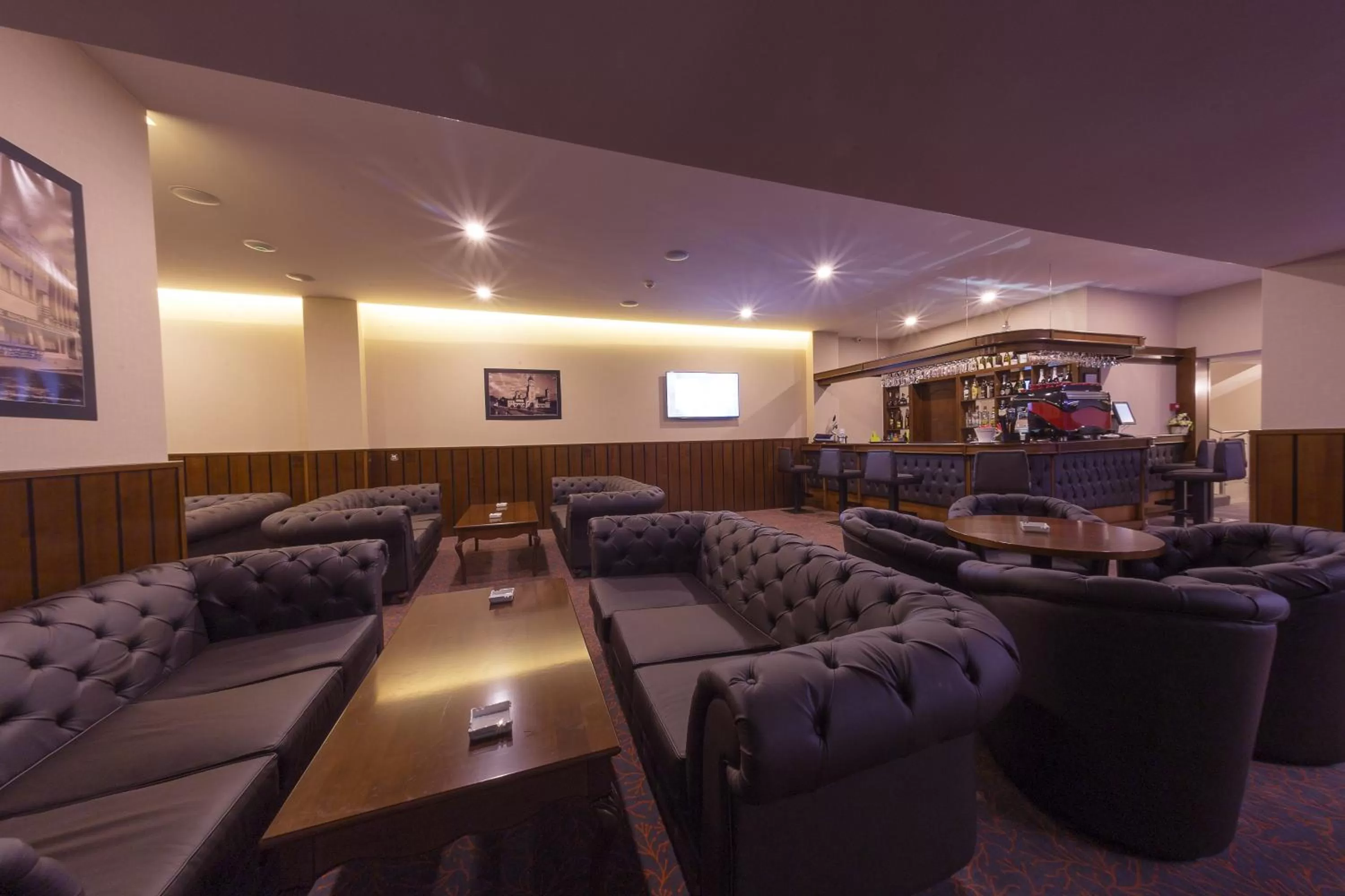 Lounge or bar in Hotel Transilvania