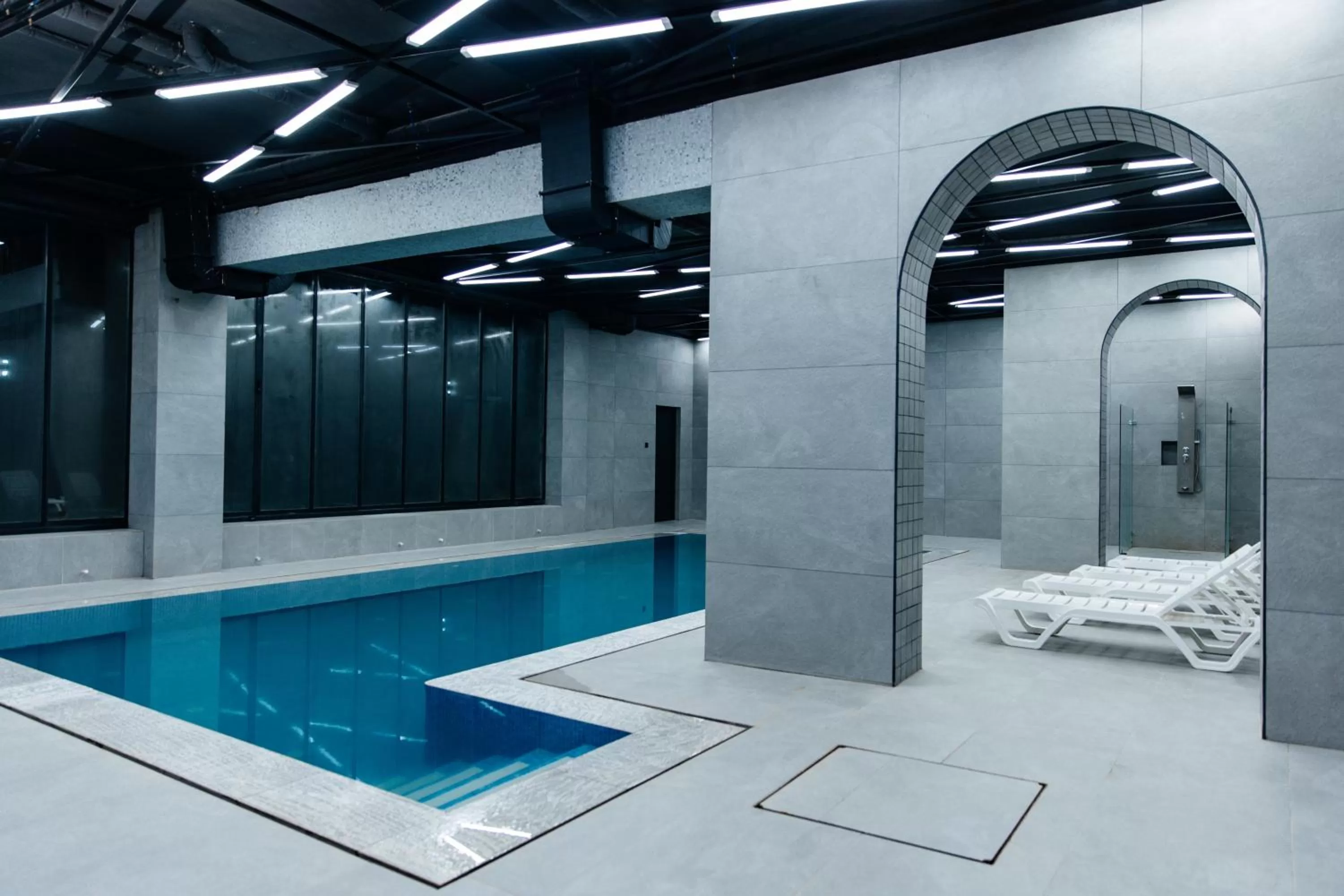 Swimming pool in Shedevr Plaza