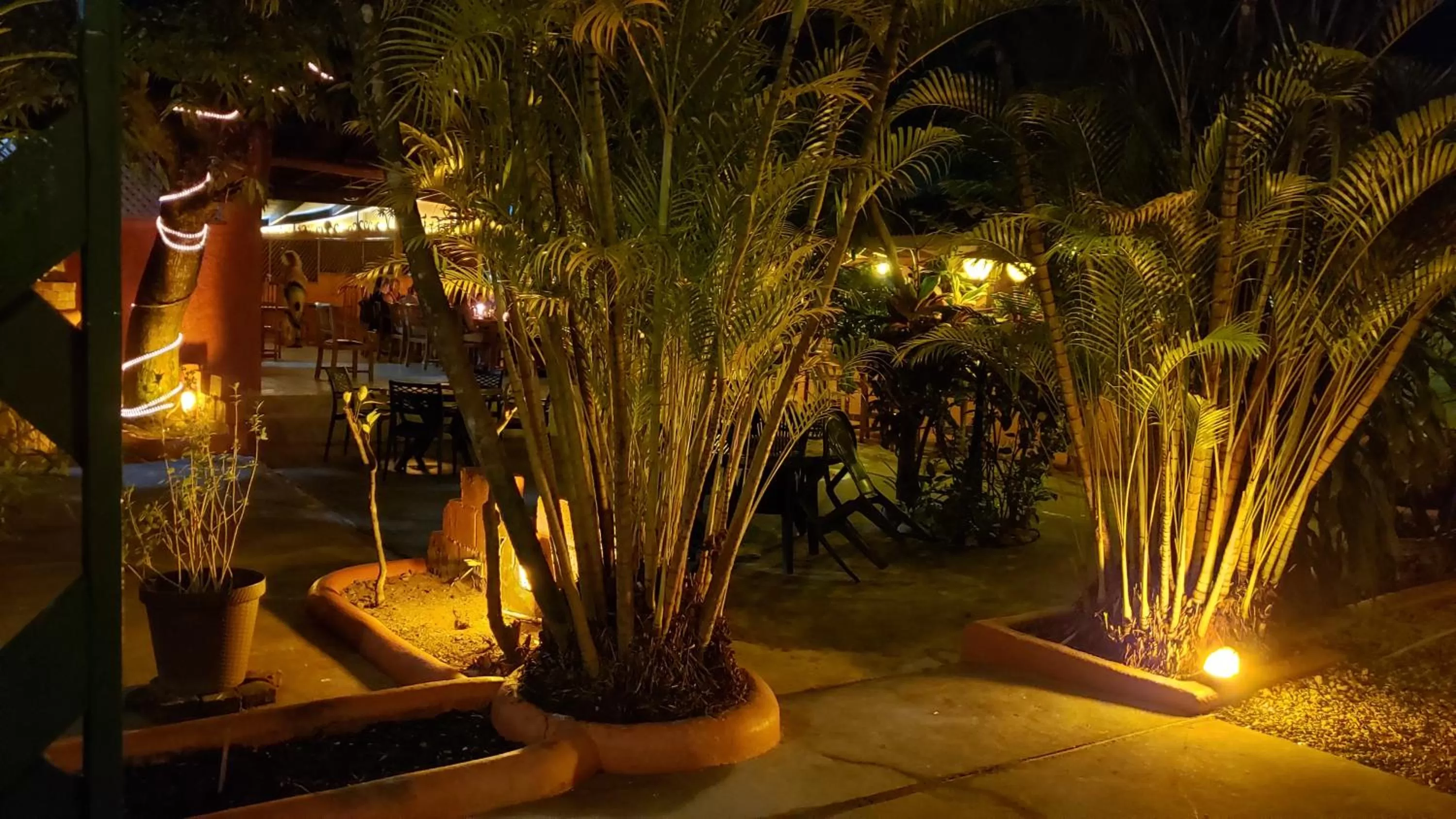 Garden in Sunrise Club Hotel