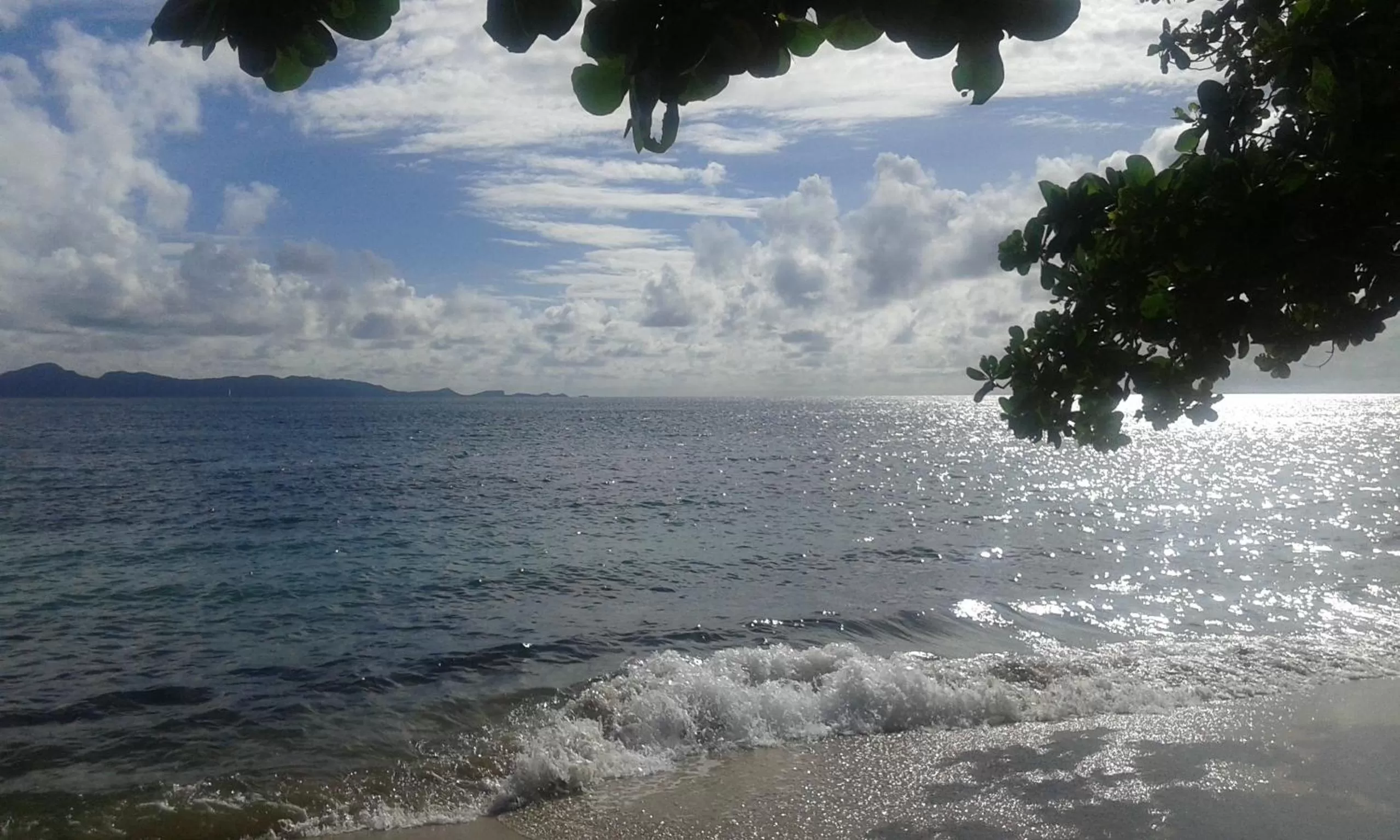 Natural landscape in The Milligan