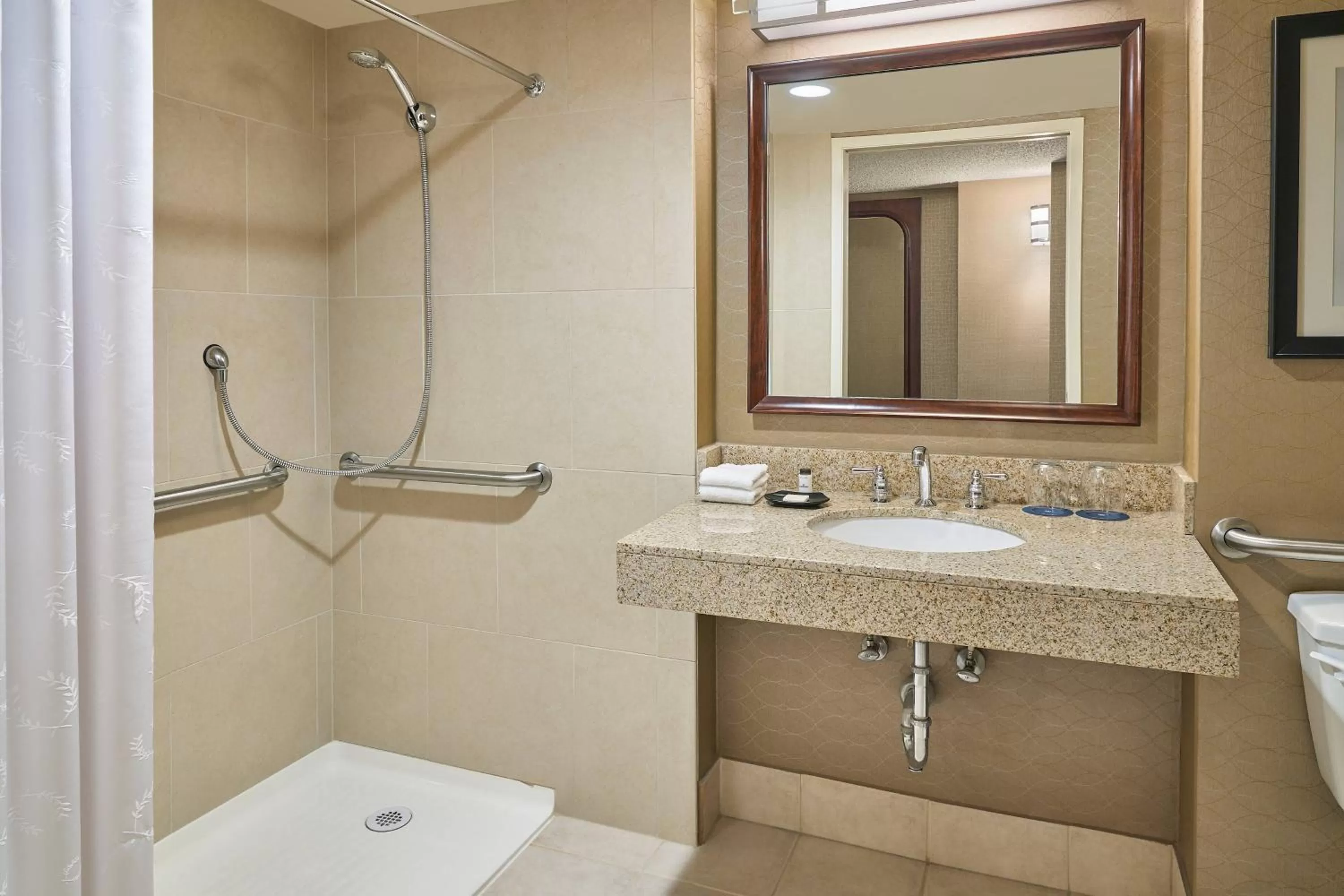 King Room with Roll-in Shower - Mobility Accessible in Sheraton Hotel Denver Tech Center