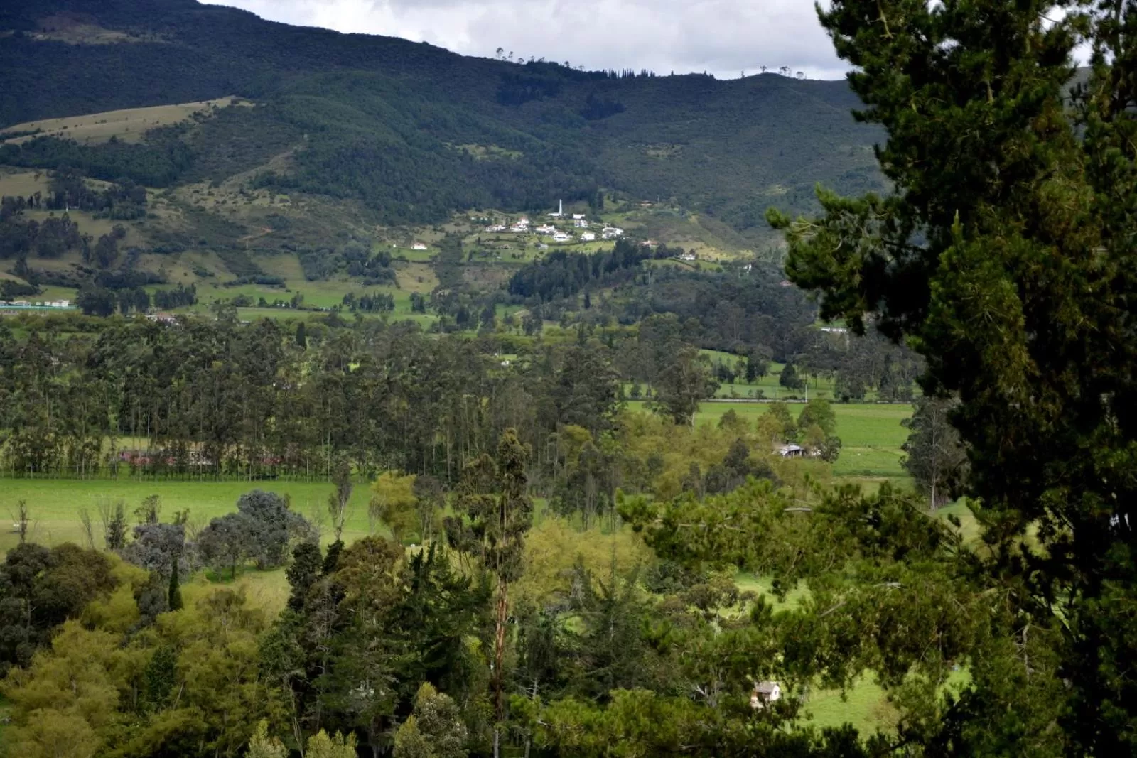 Natural landscape in El Pedregal Sopó