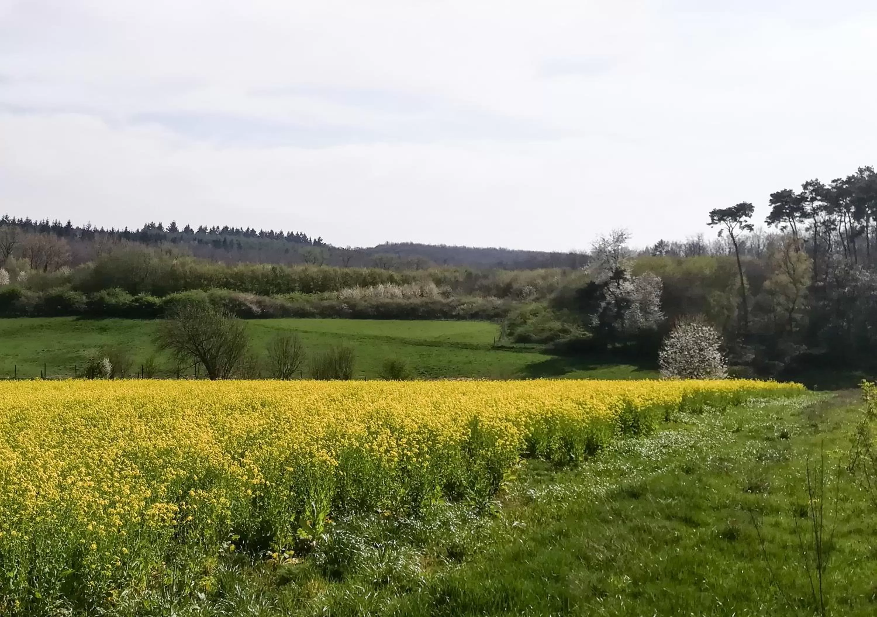 Spring in B&B Plattestien