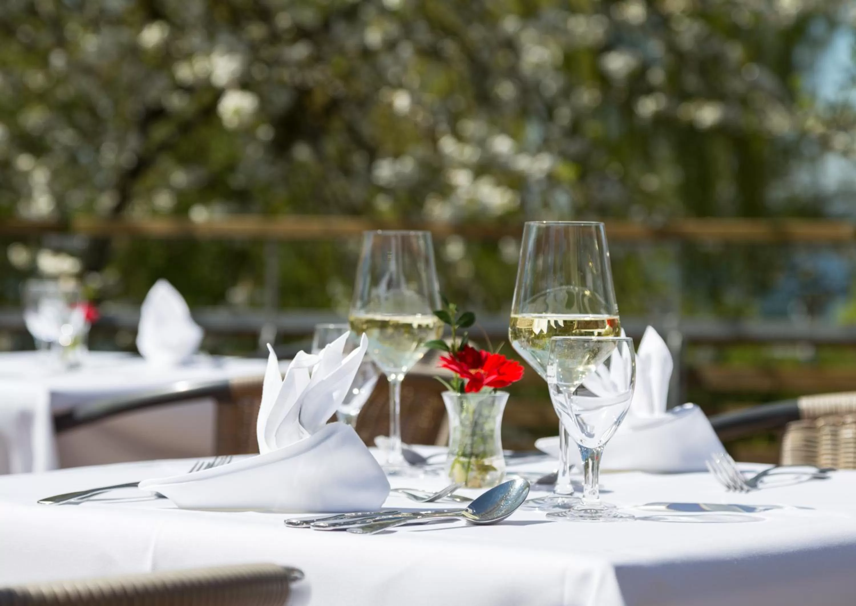 Alcoholic drinks in Pilgerhof und Rebmannshof