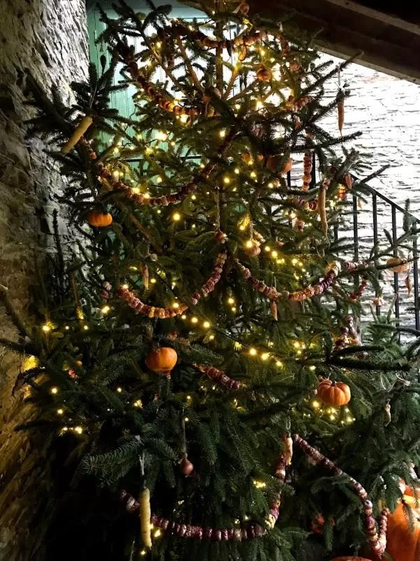 The Residence at Bolenna