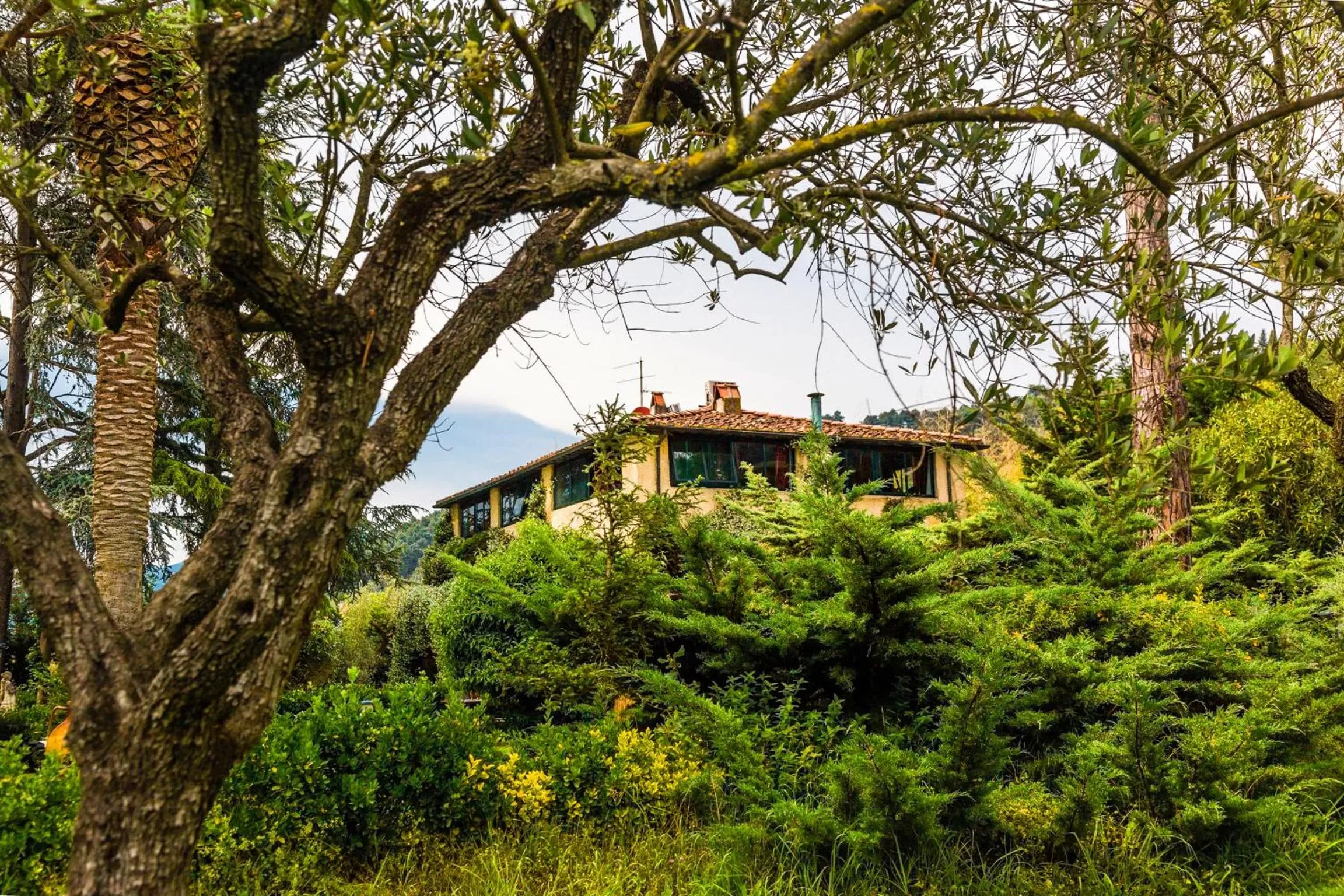 Property building in Casa Matilde