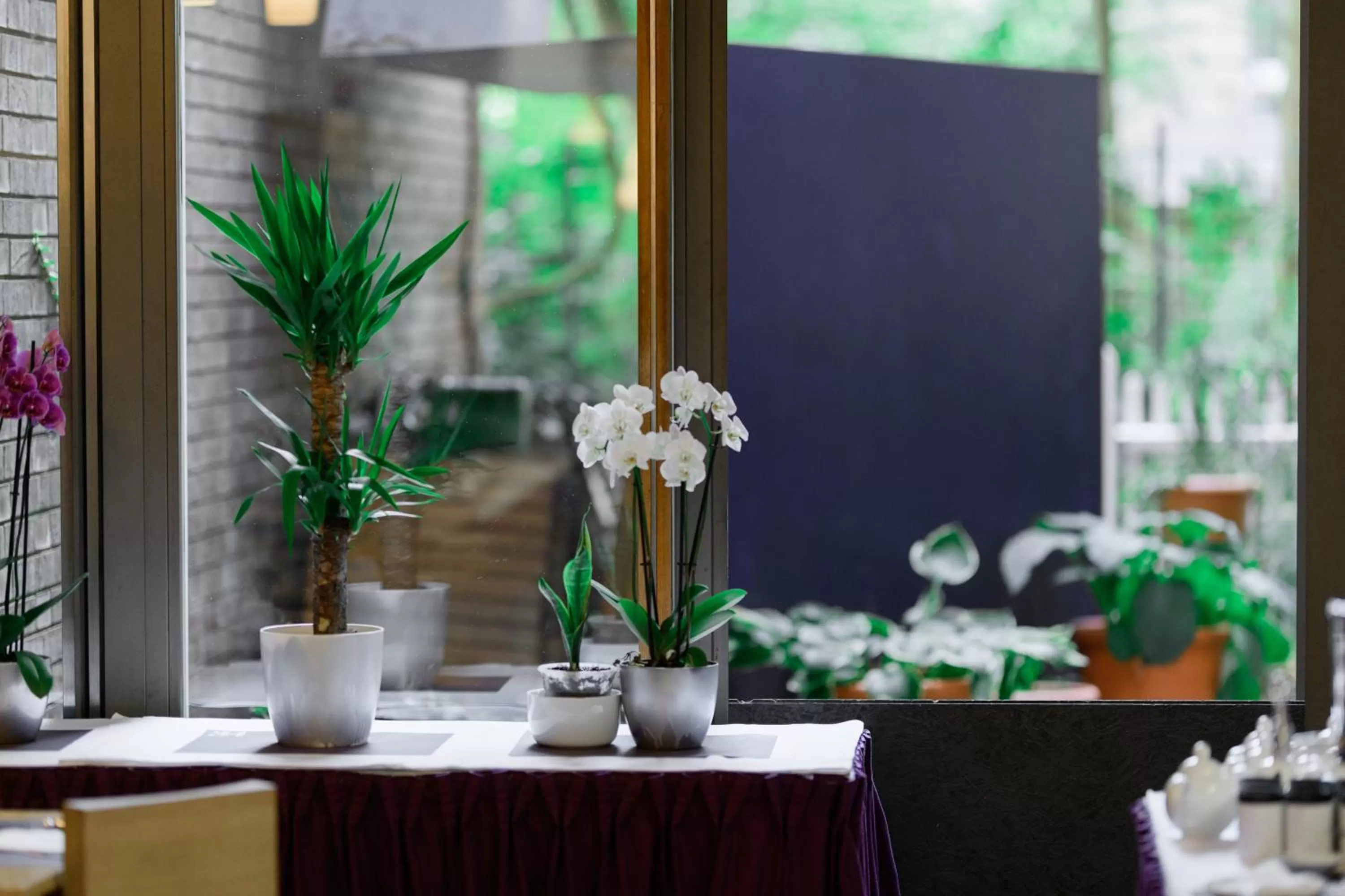 Patio in Hotel Bleibtreu Berlin by Golden Tulip