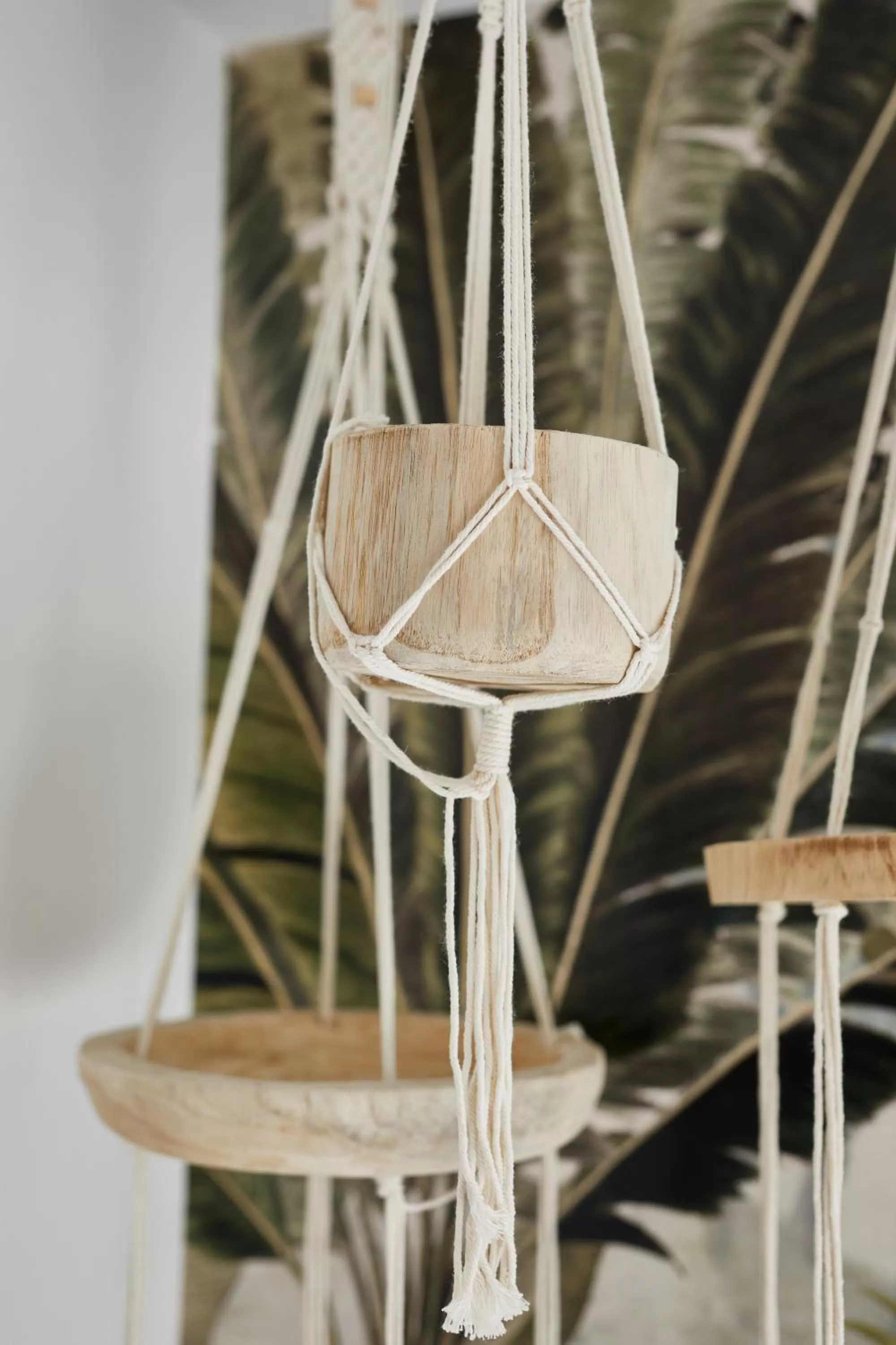 Decorative detail in Humboldt41