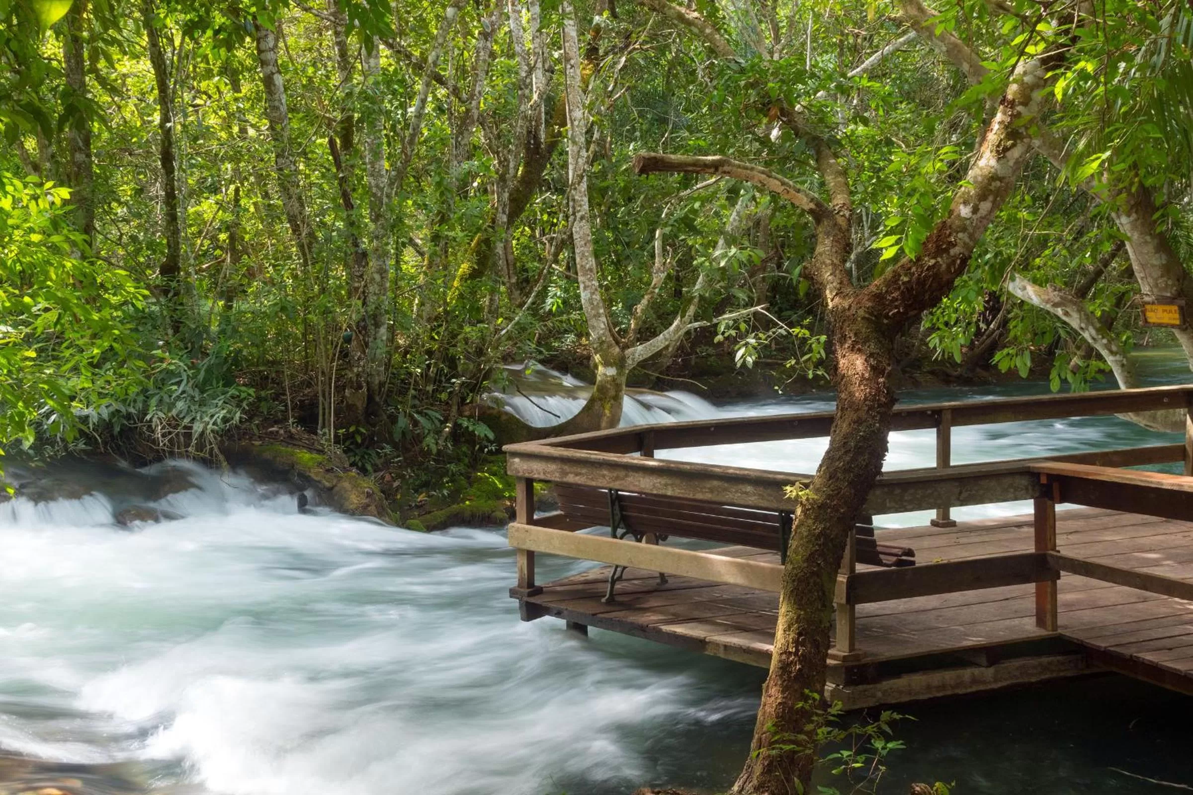 Natural landscape in Hotel Santa Esmeralda