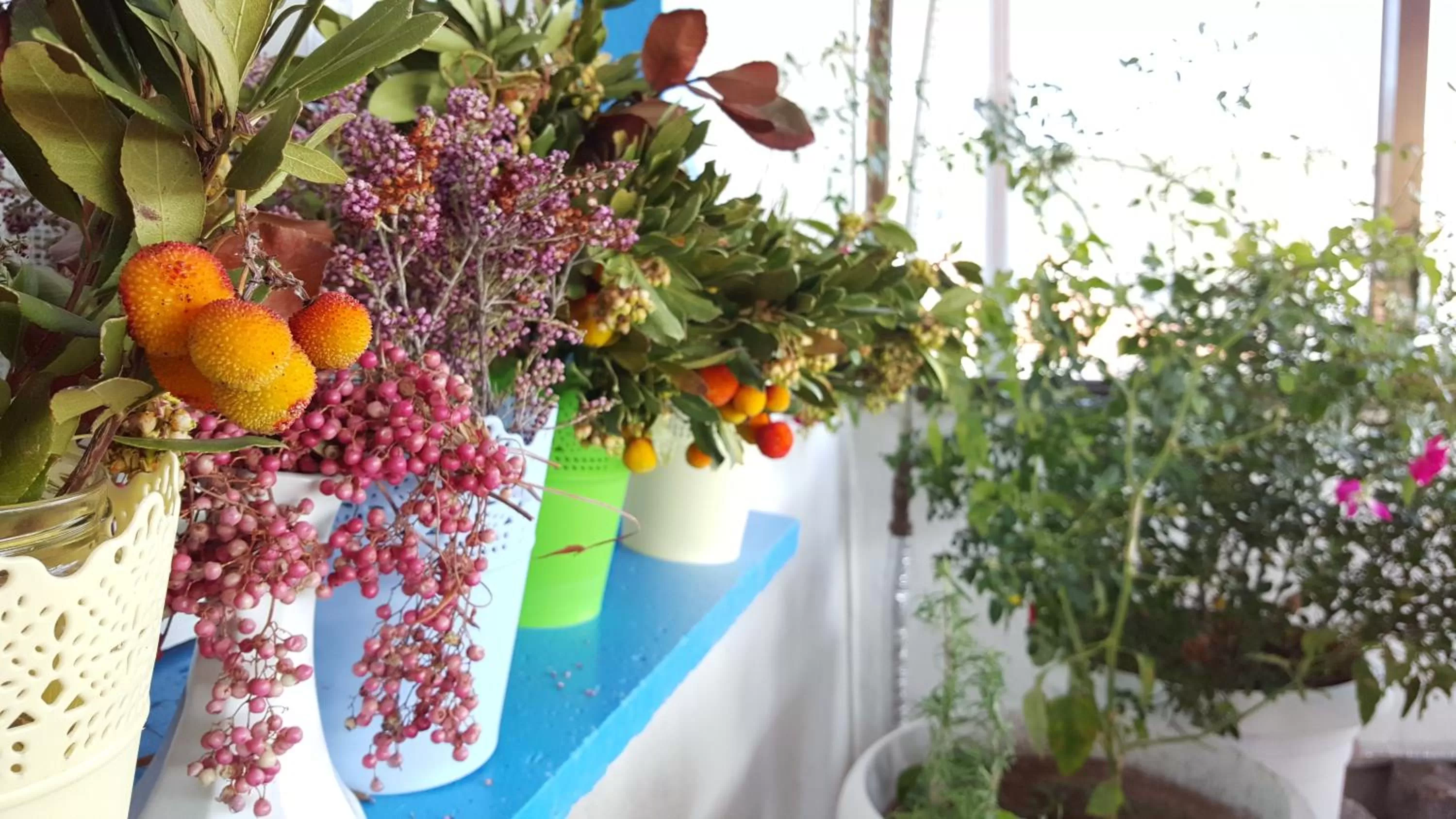 Other in Foça Ensar Hotel