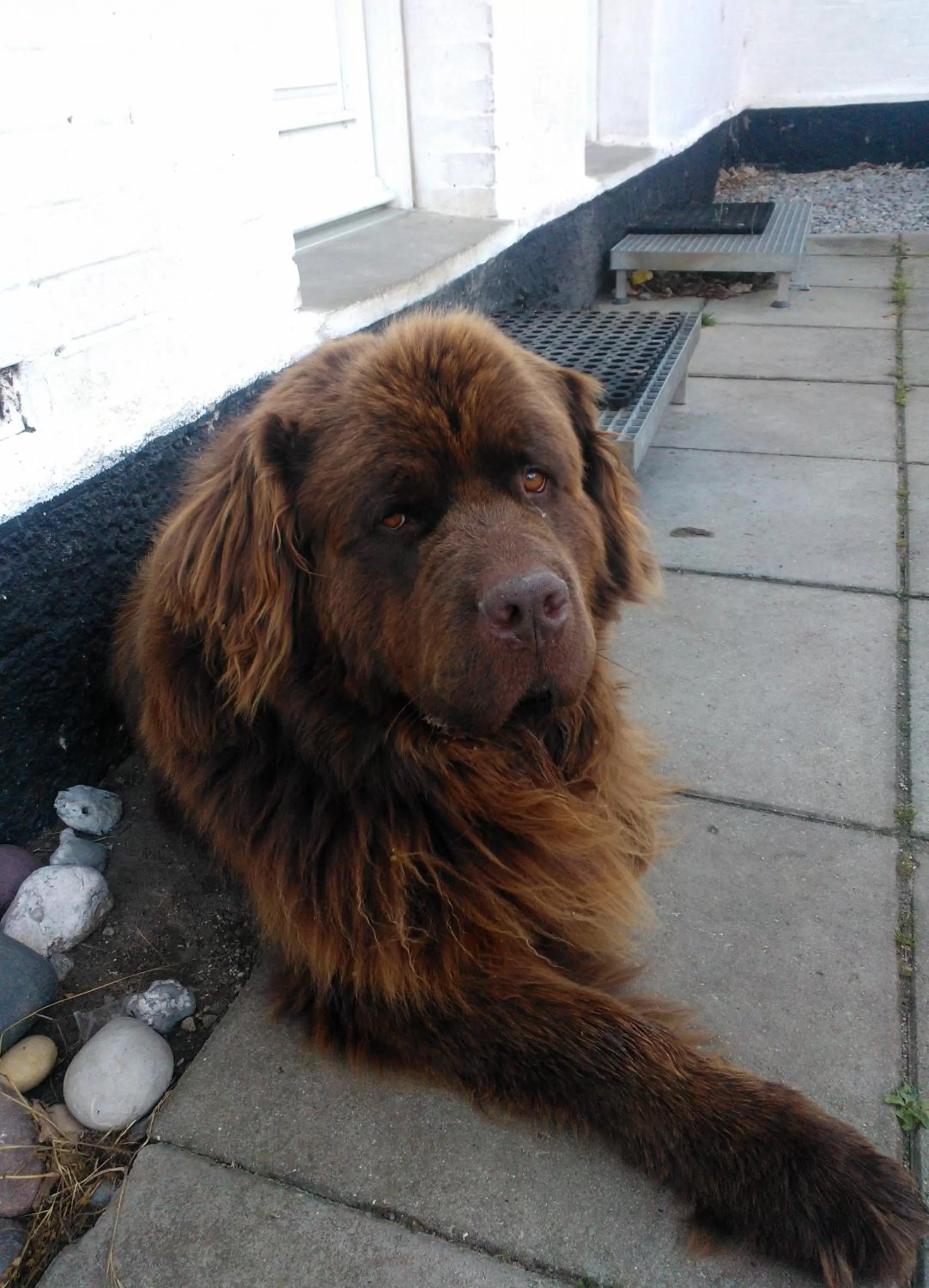 Holmehuset Bed & Breakfast