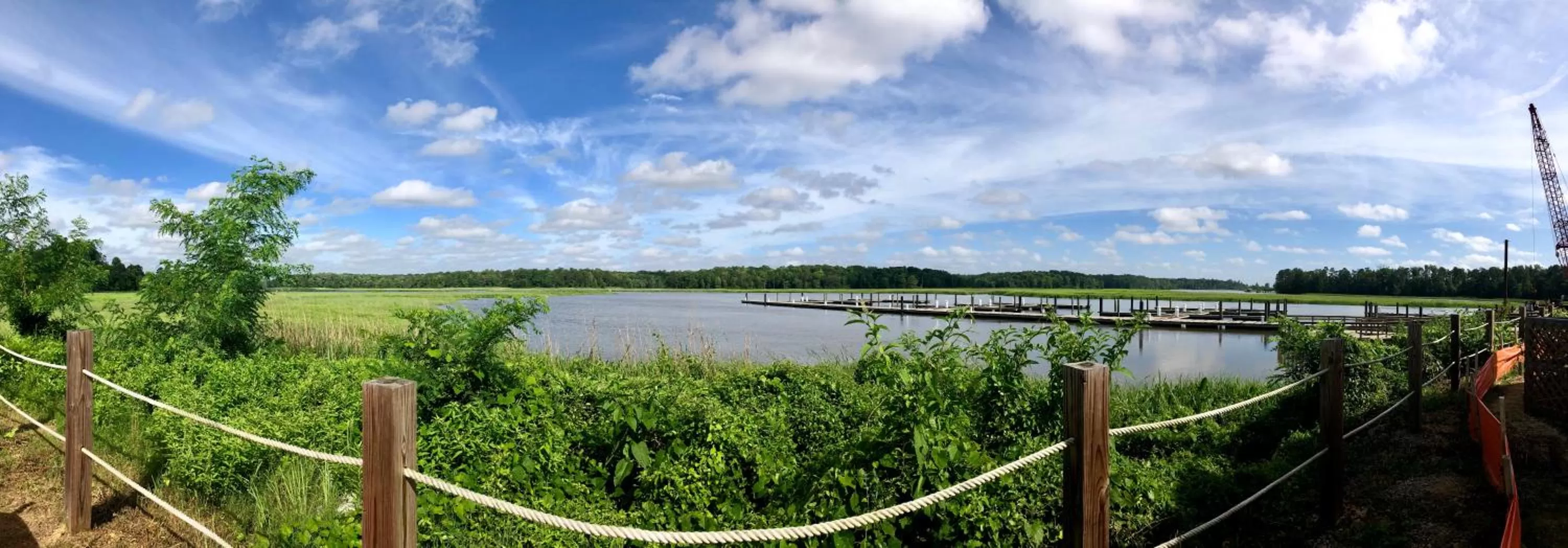 Natural landscape in Surry Seafood Company