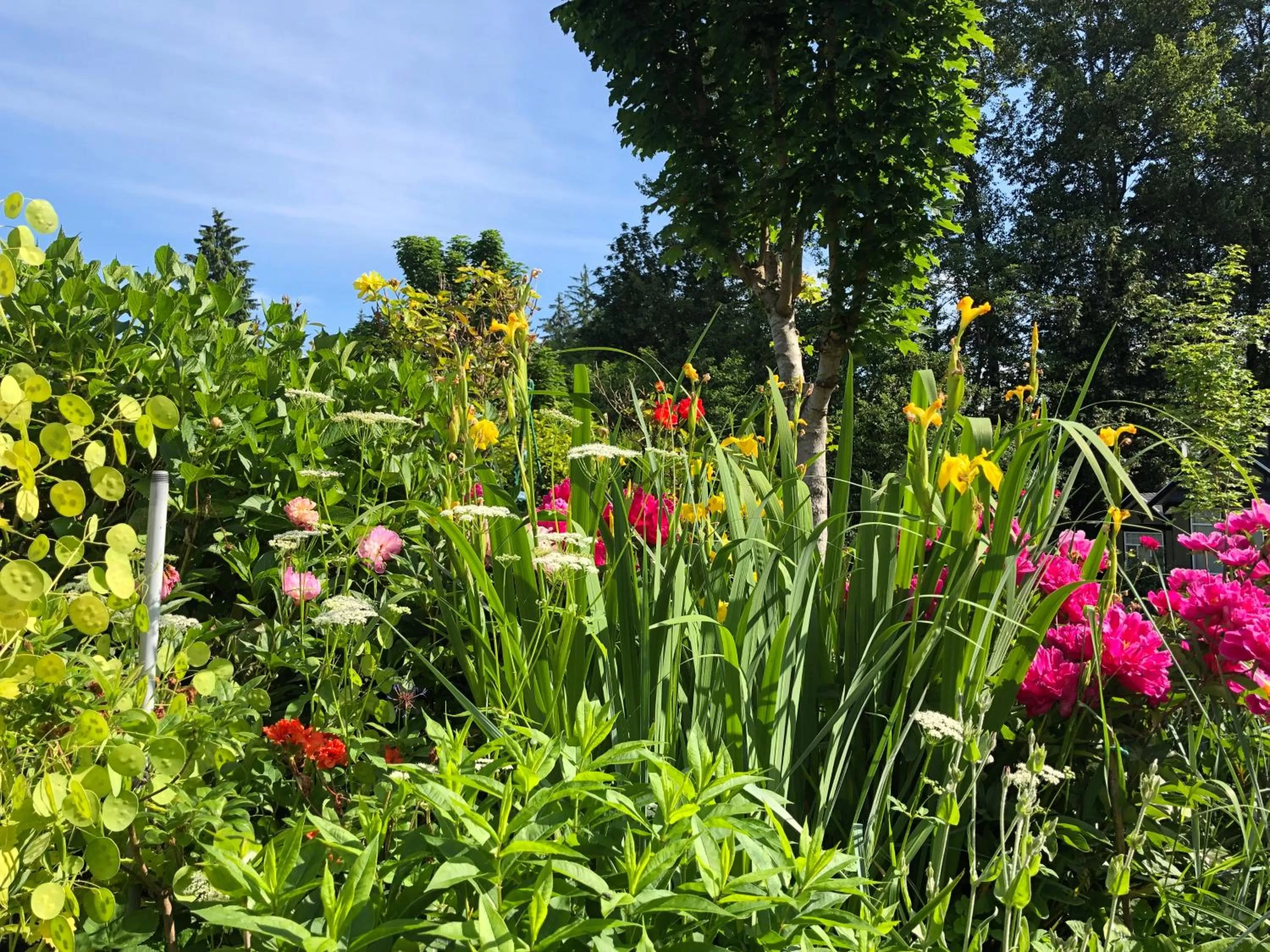 View (from property/room), Garden in Jane's private rooms with shared washroom
