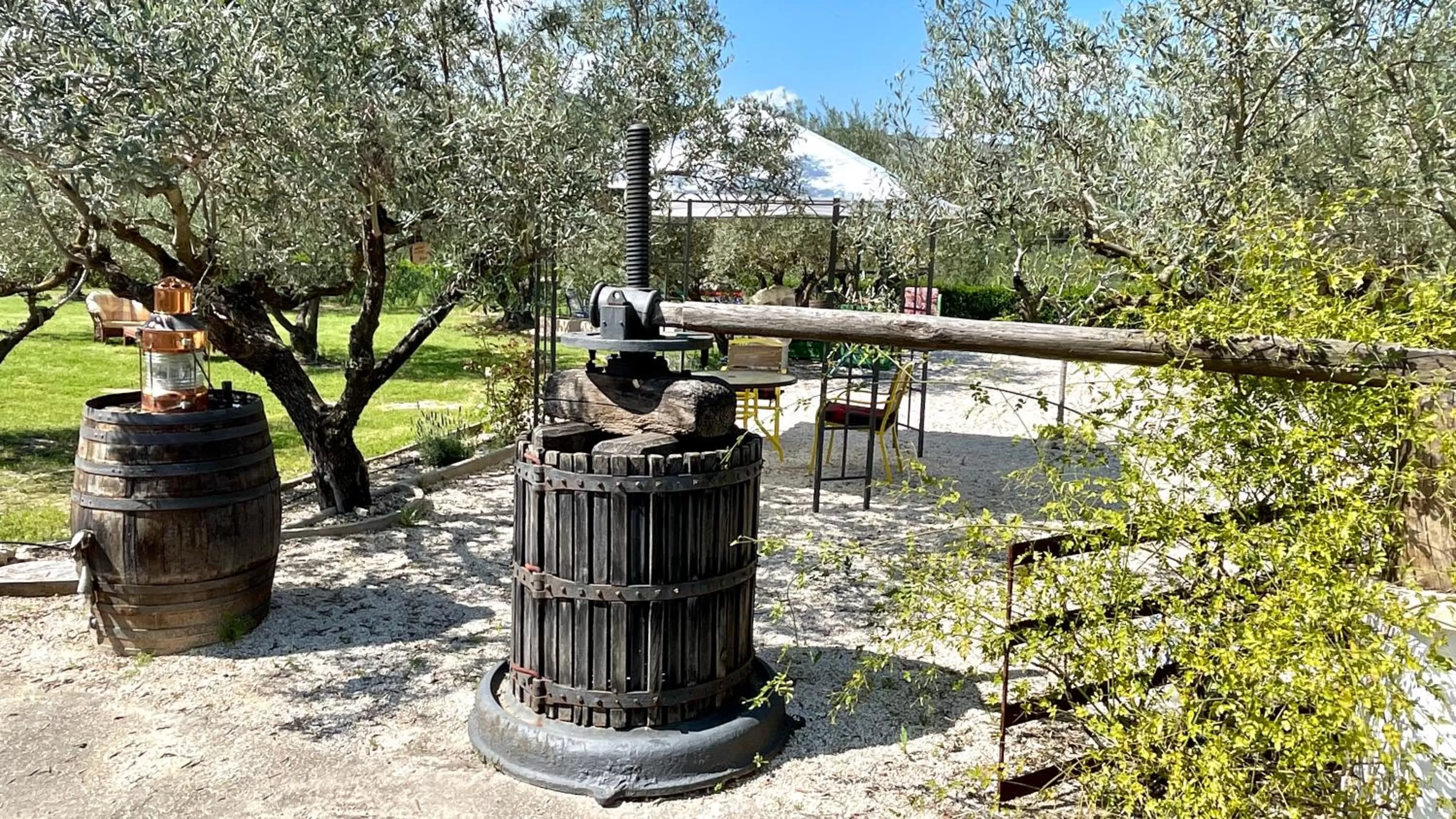 Garden in Finca La Higuera - Boutique B&B