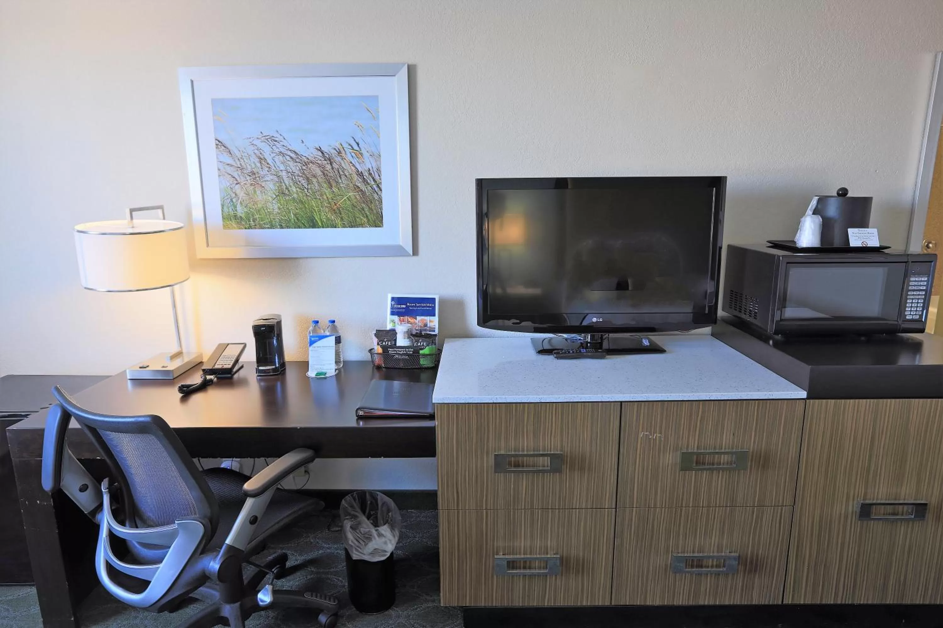 TV and multimedia in Wyndham Garden Kenosha Harborside