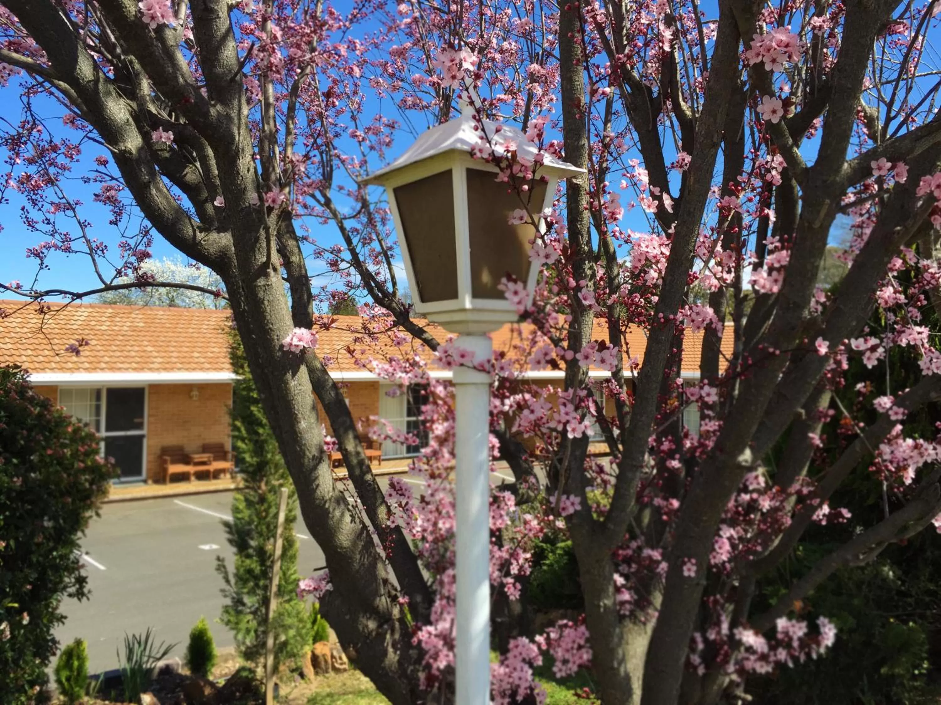 Property building in White Lanterns Motel
