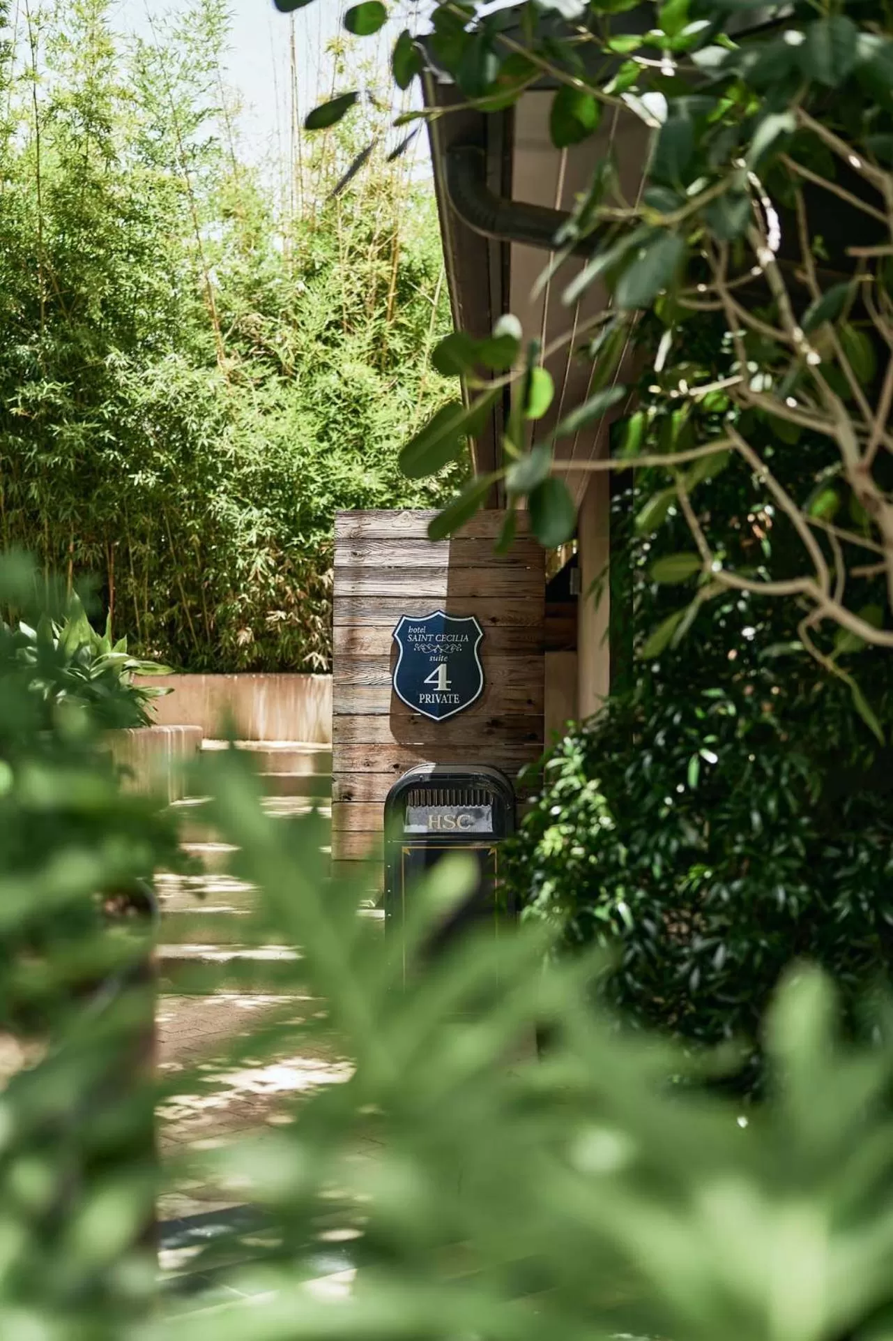 Garden in Hotel Saint Cecilia