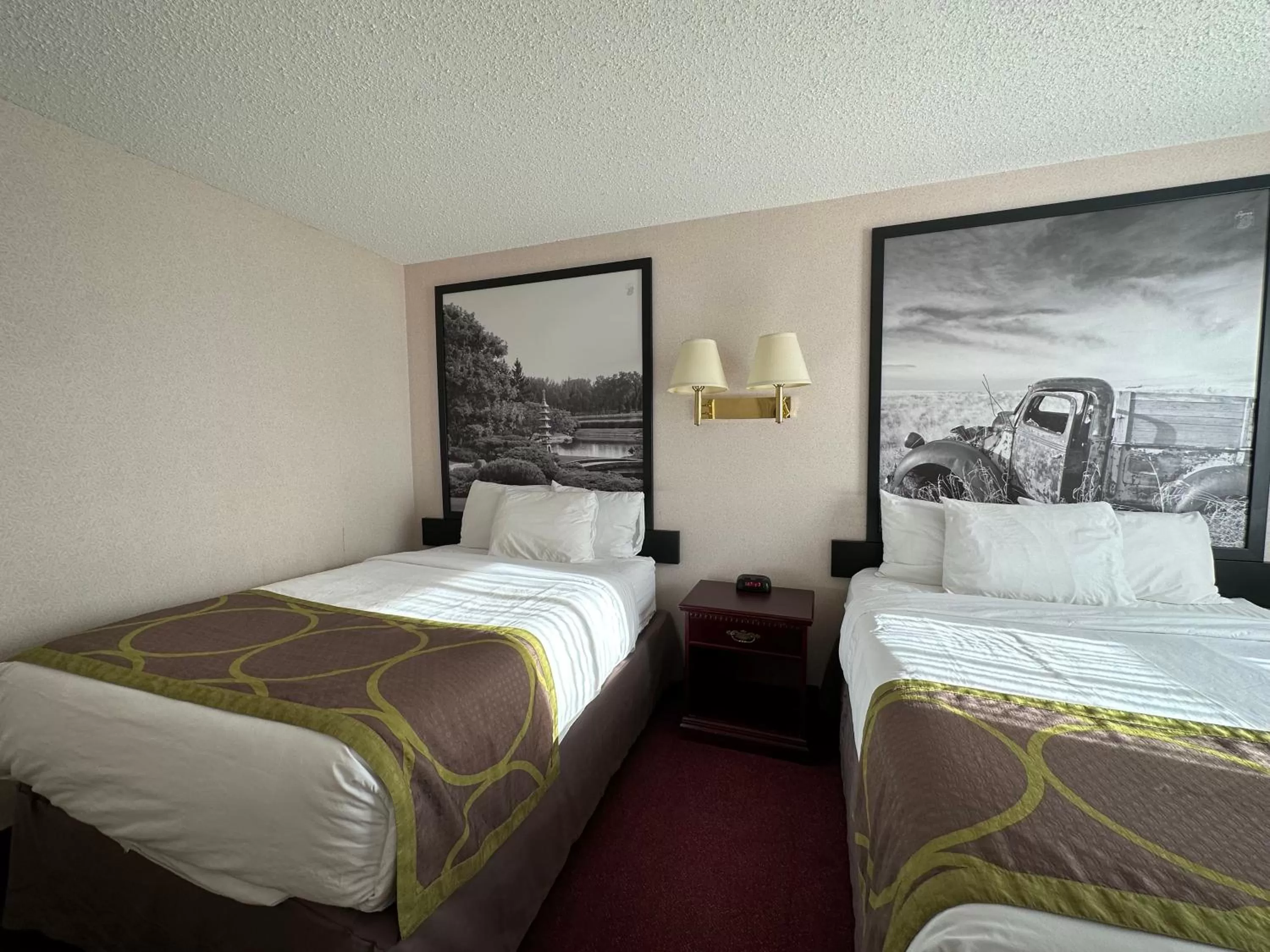 Bedroom, Bed in Super 8 by Wyndham Lethbridge