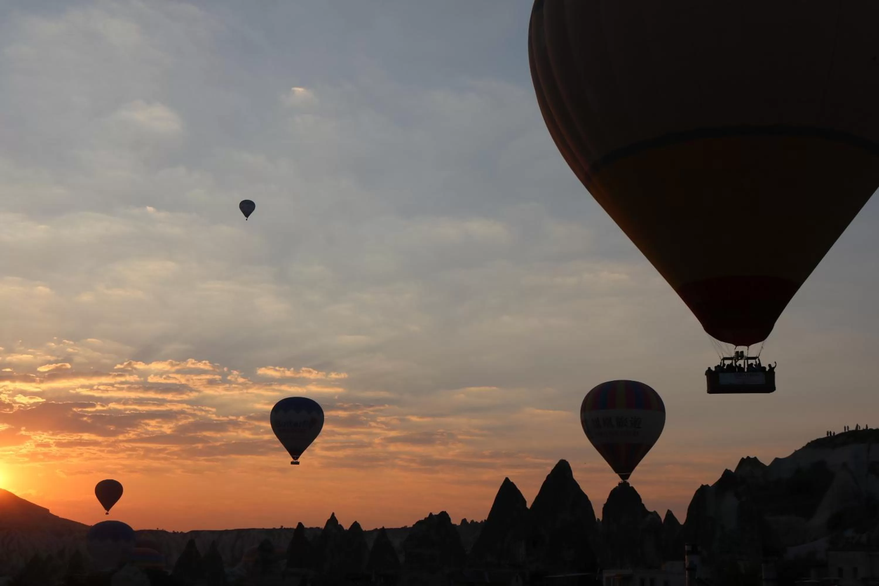 Natural landscape in Epoch Stone House