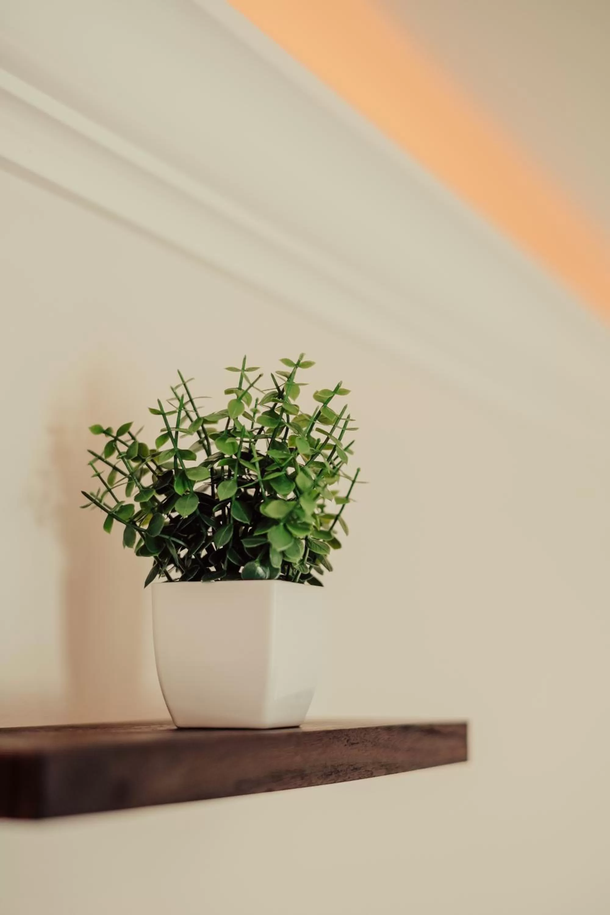 Decorative detail in Blufftop Inn & Suites - Wharf/Restaurant District