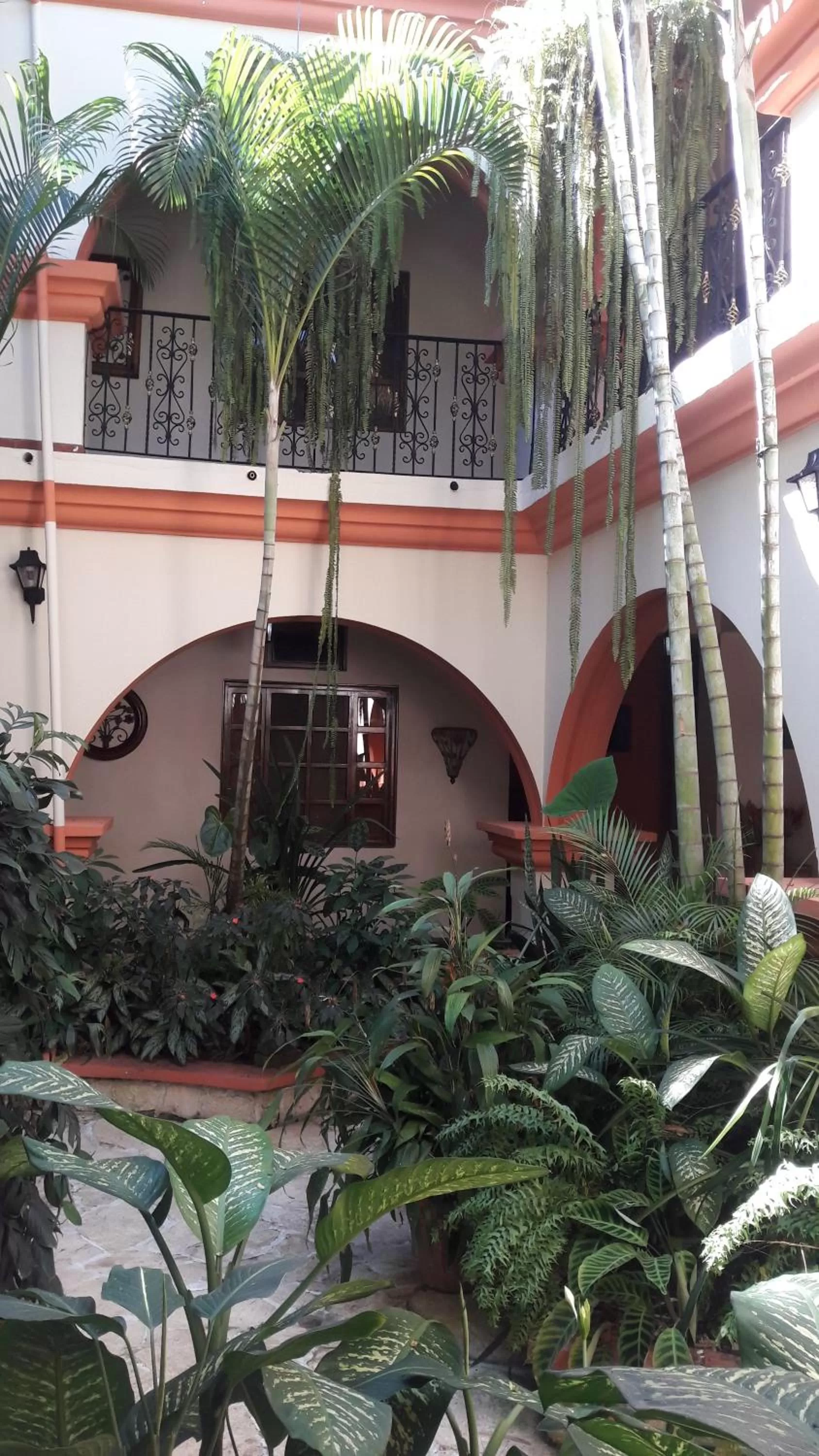 Garden in Hotel Acropolis Maya