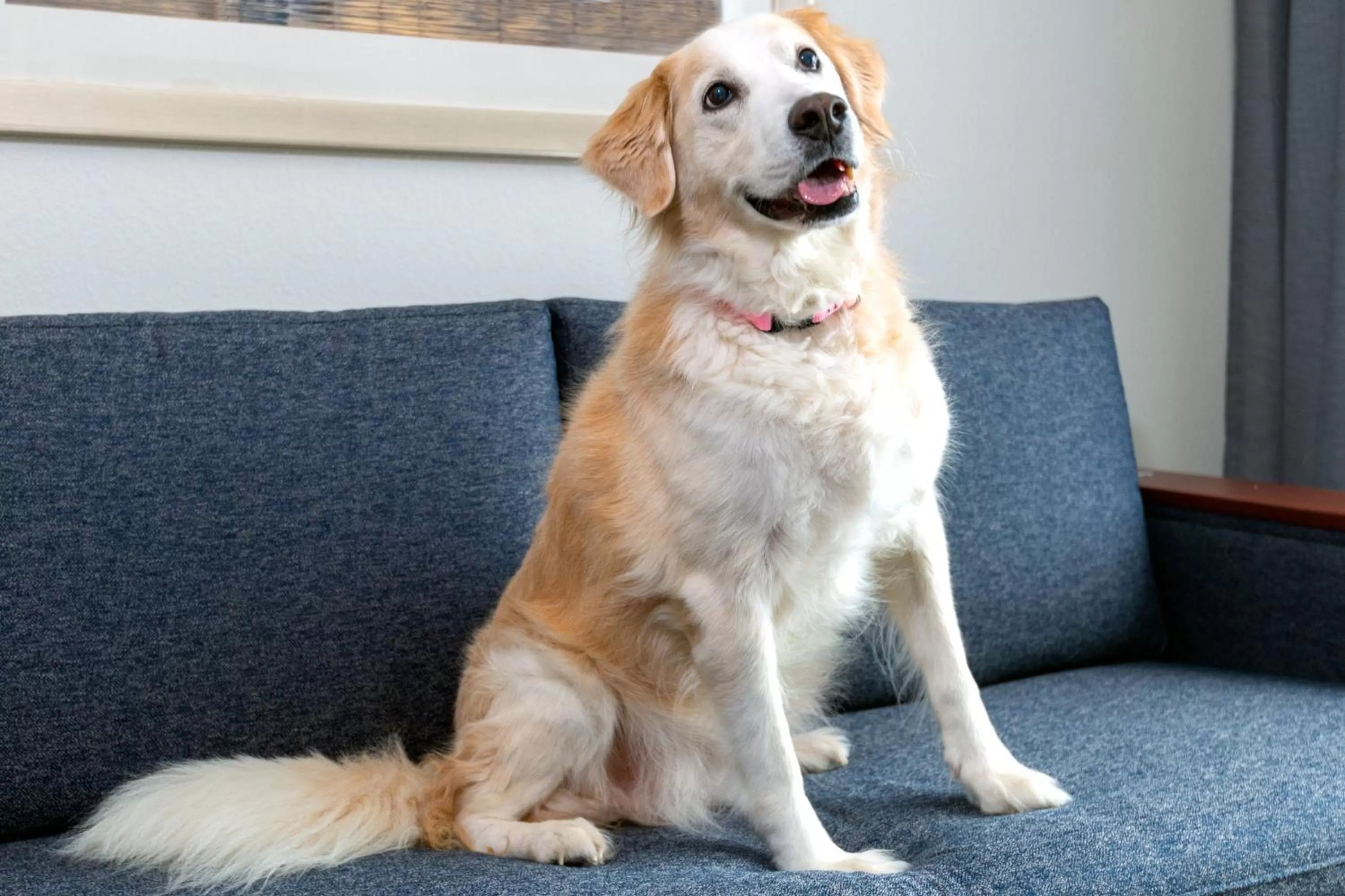 Other in Courtyard by Marriott Sarasota at University Town Center