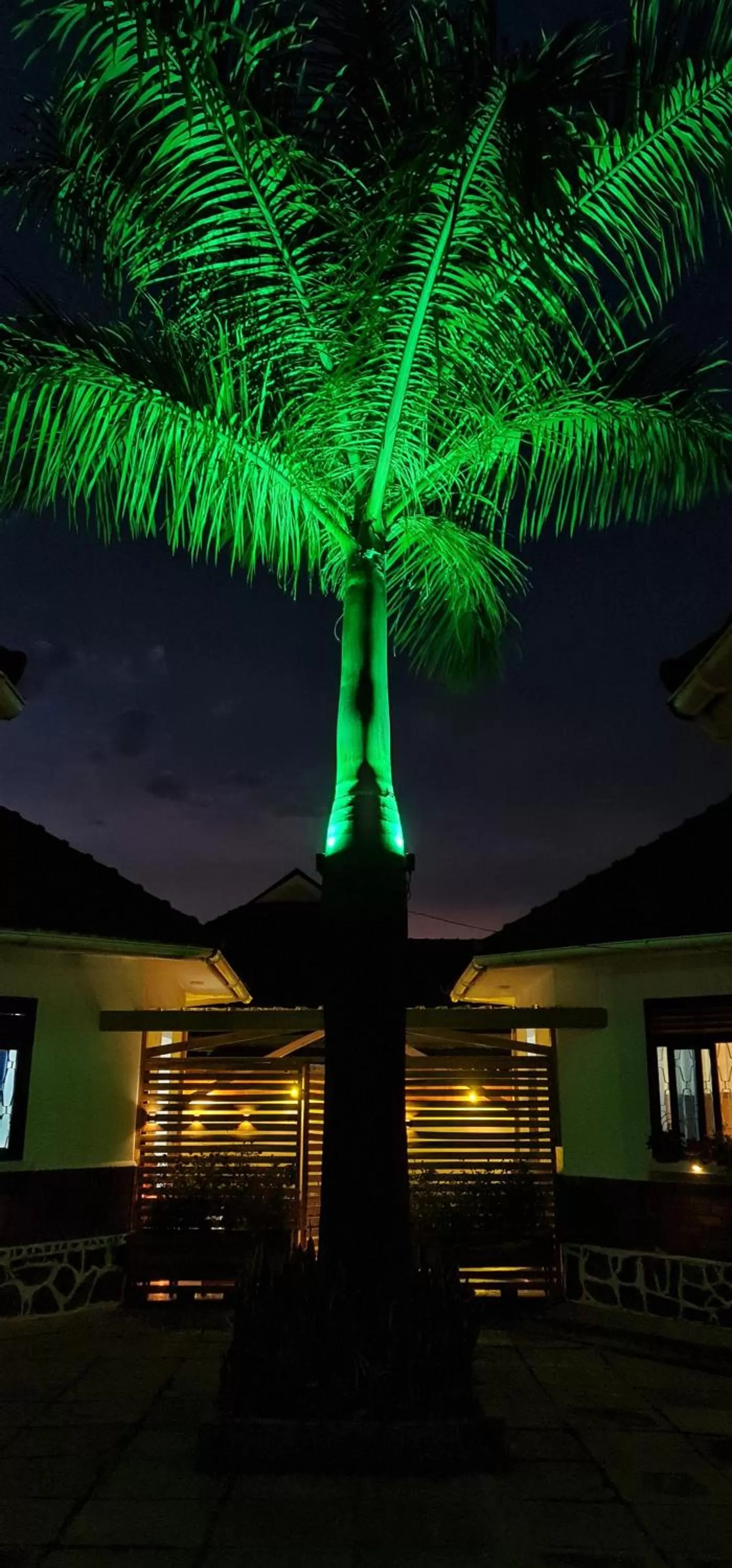 Property building in Northern Pearl