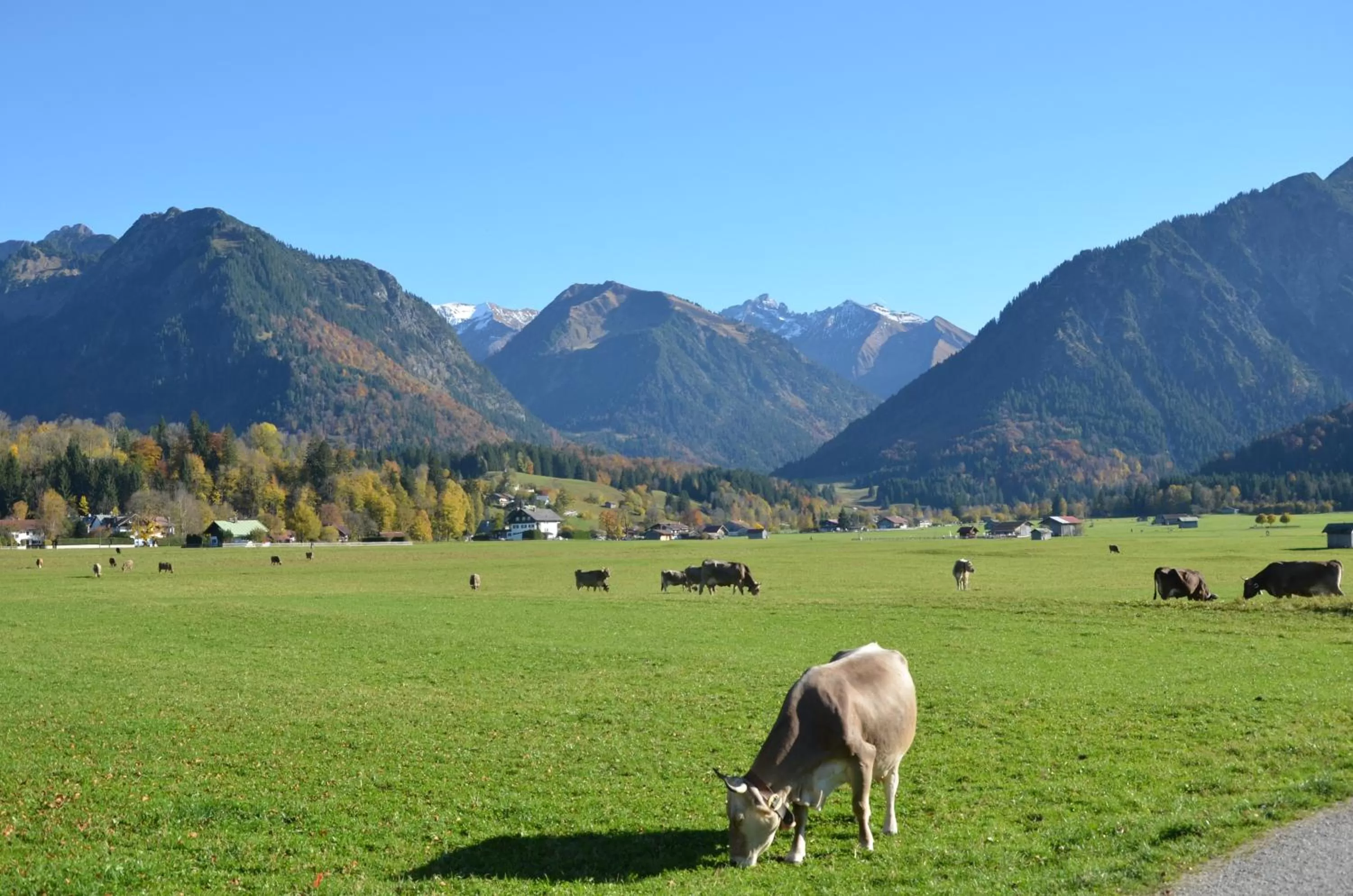Natural landscape in Hotel Cafe Fuggerhof