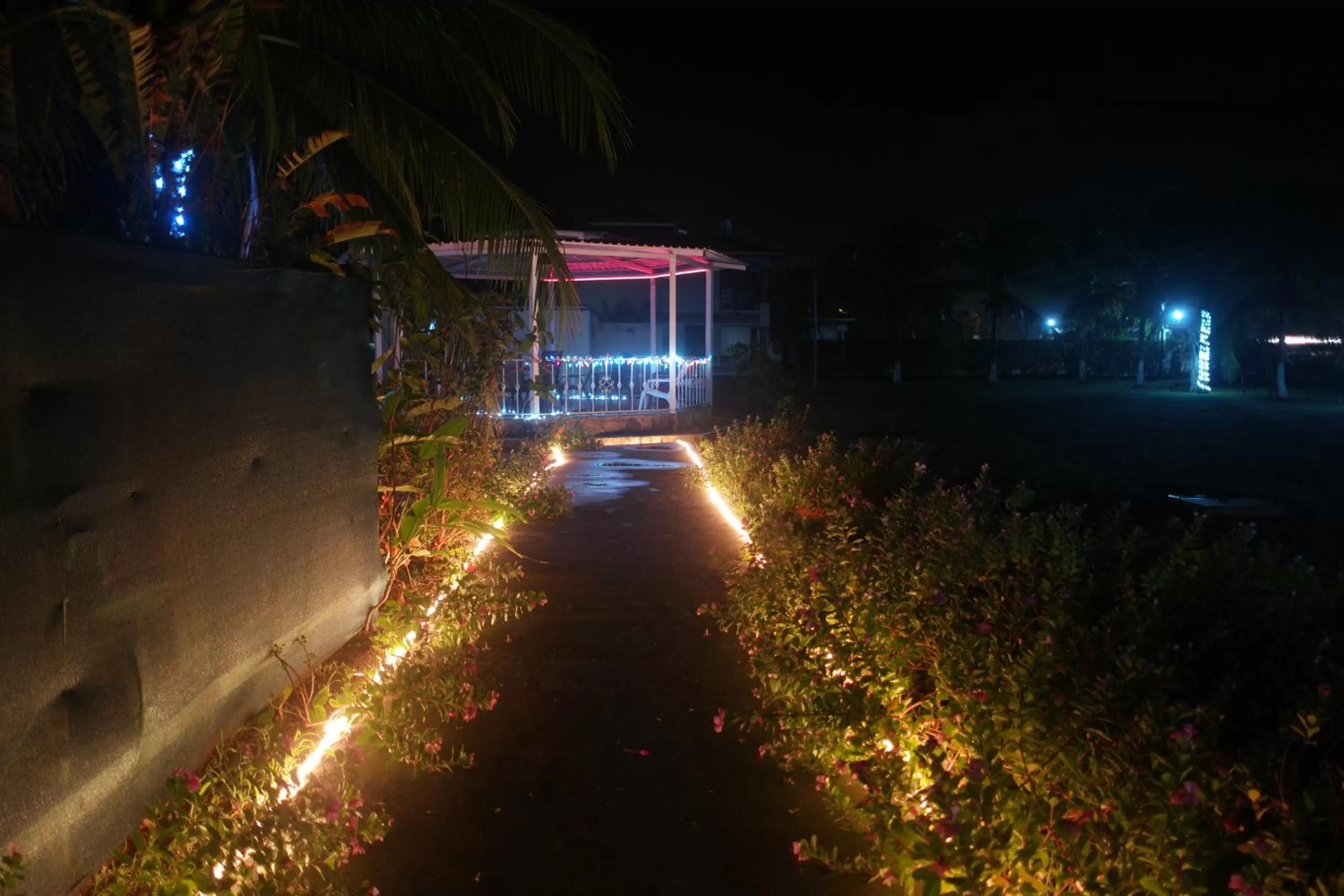 Garden view in Hotel La Arena