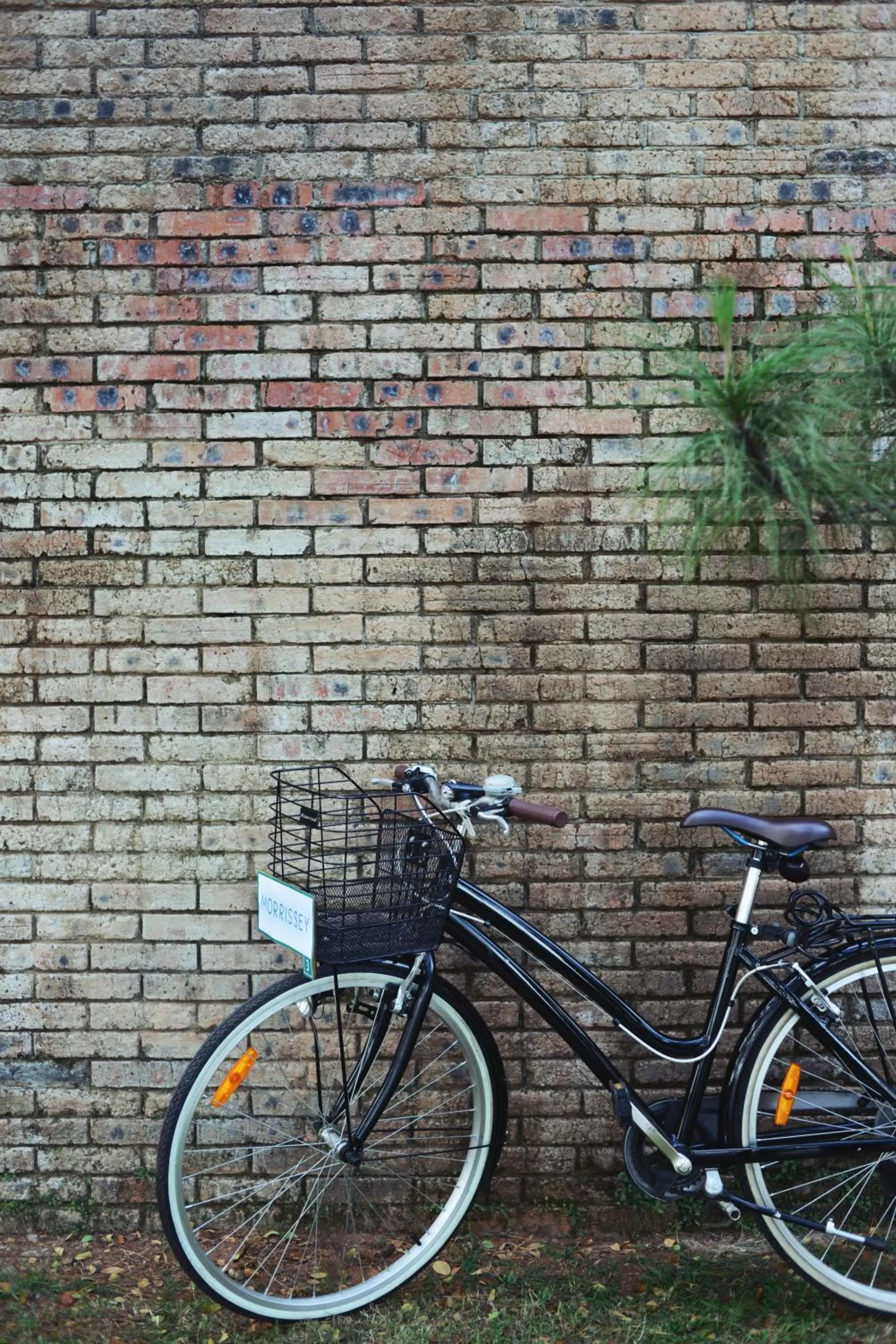 Other in Morrissey Hotel