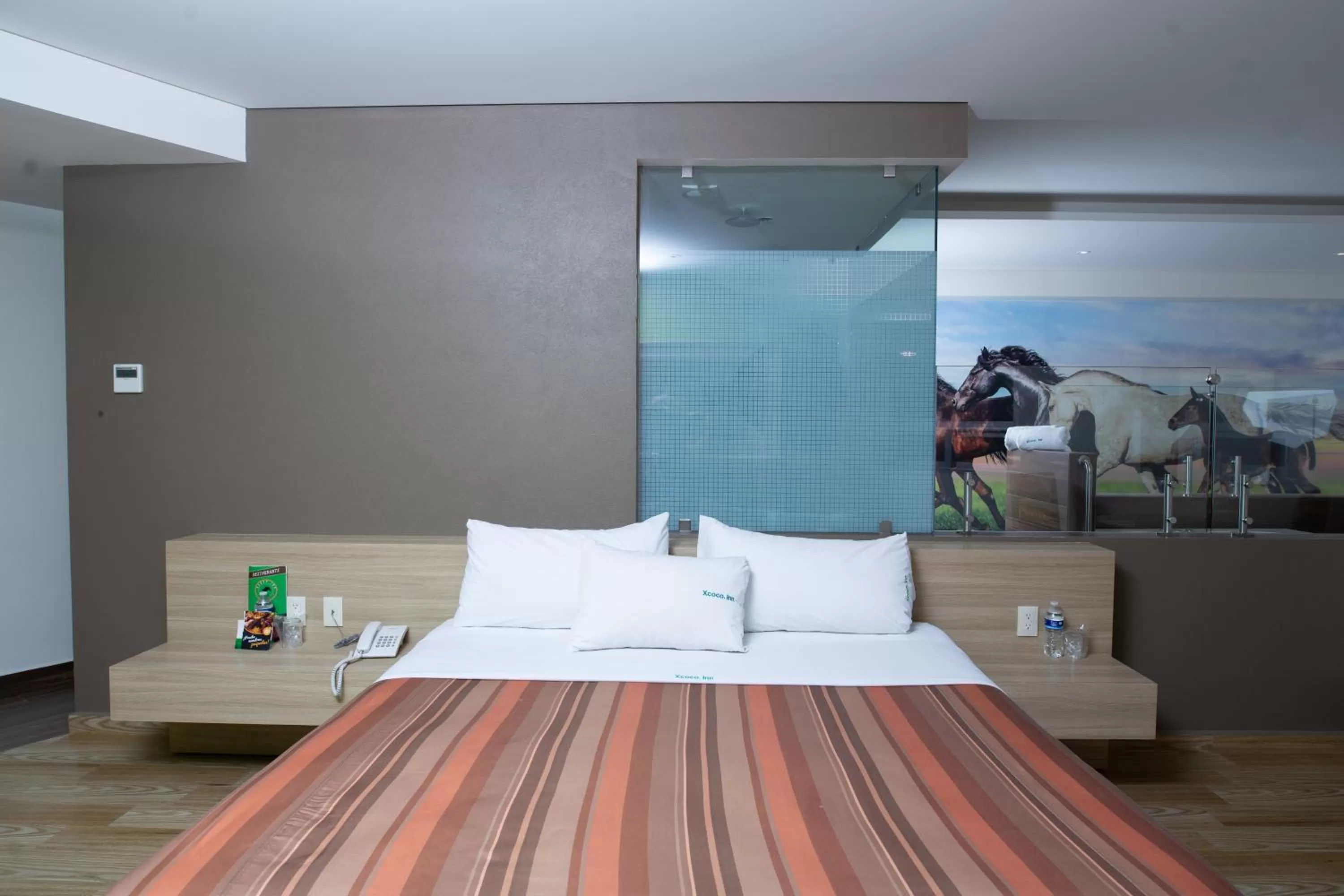 Bed in Hotel Xcoco Inn