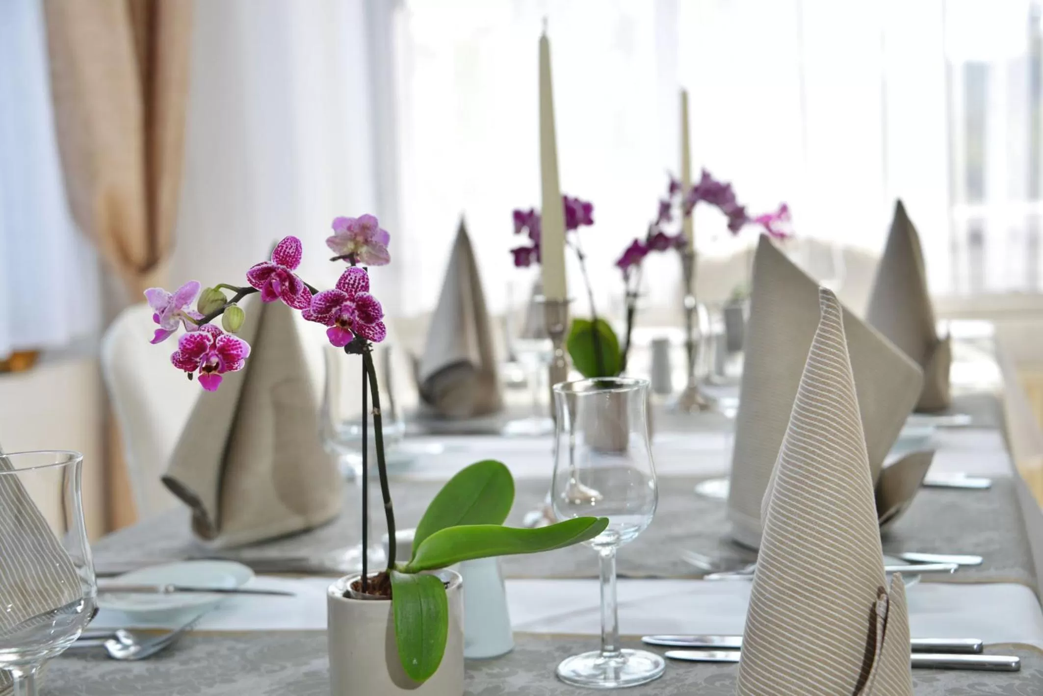 Restaurant/places to eat in Villa Oranien