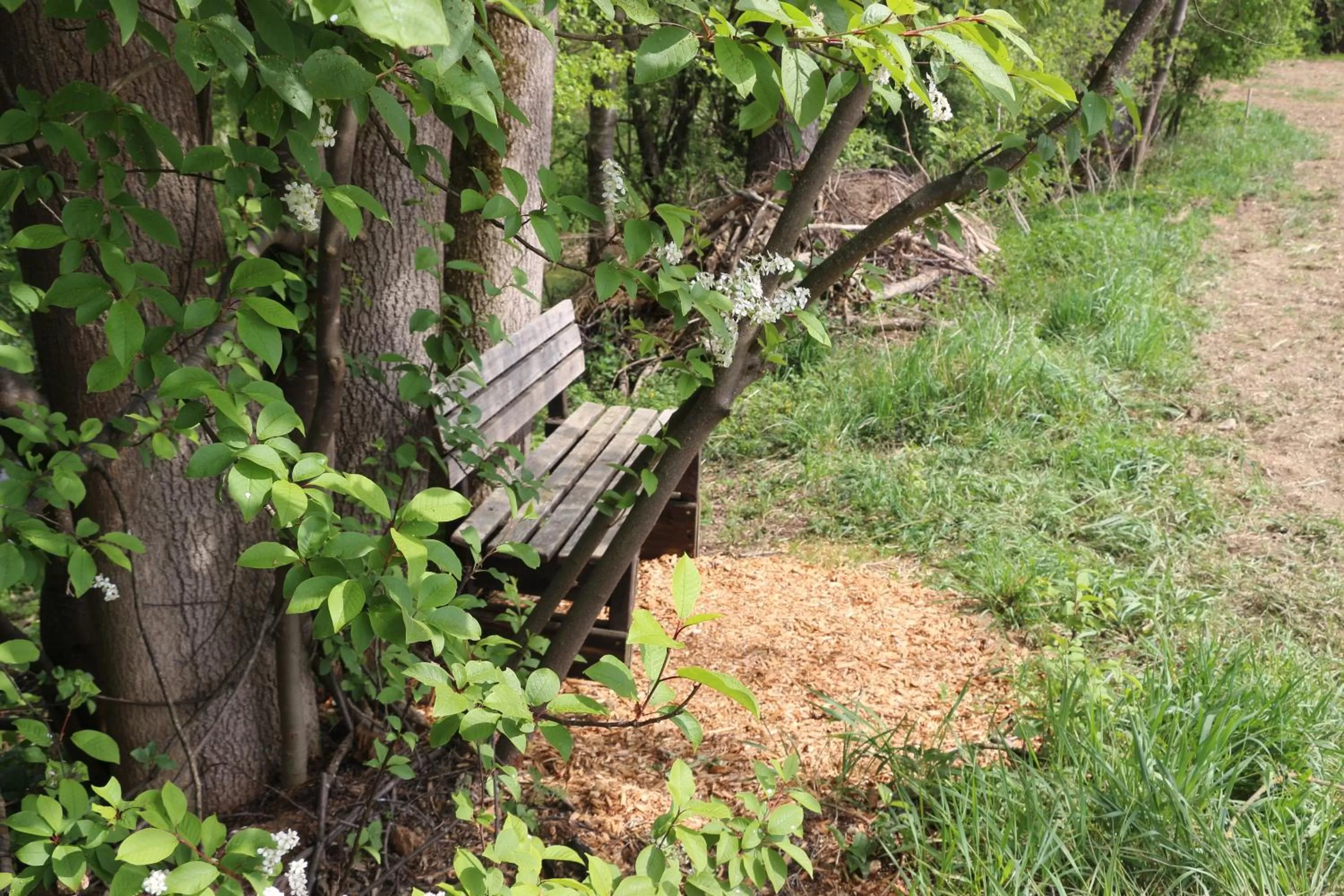 Garden in Gästehaus Zehmerhof bei Erding