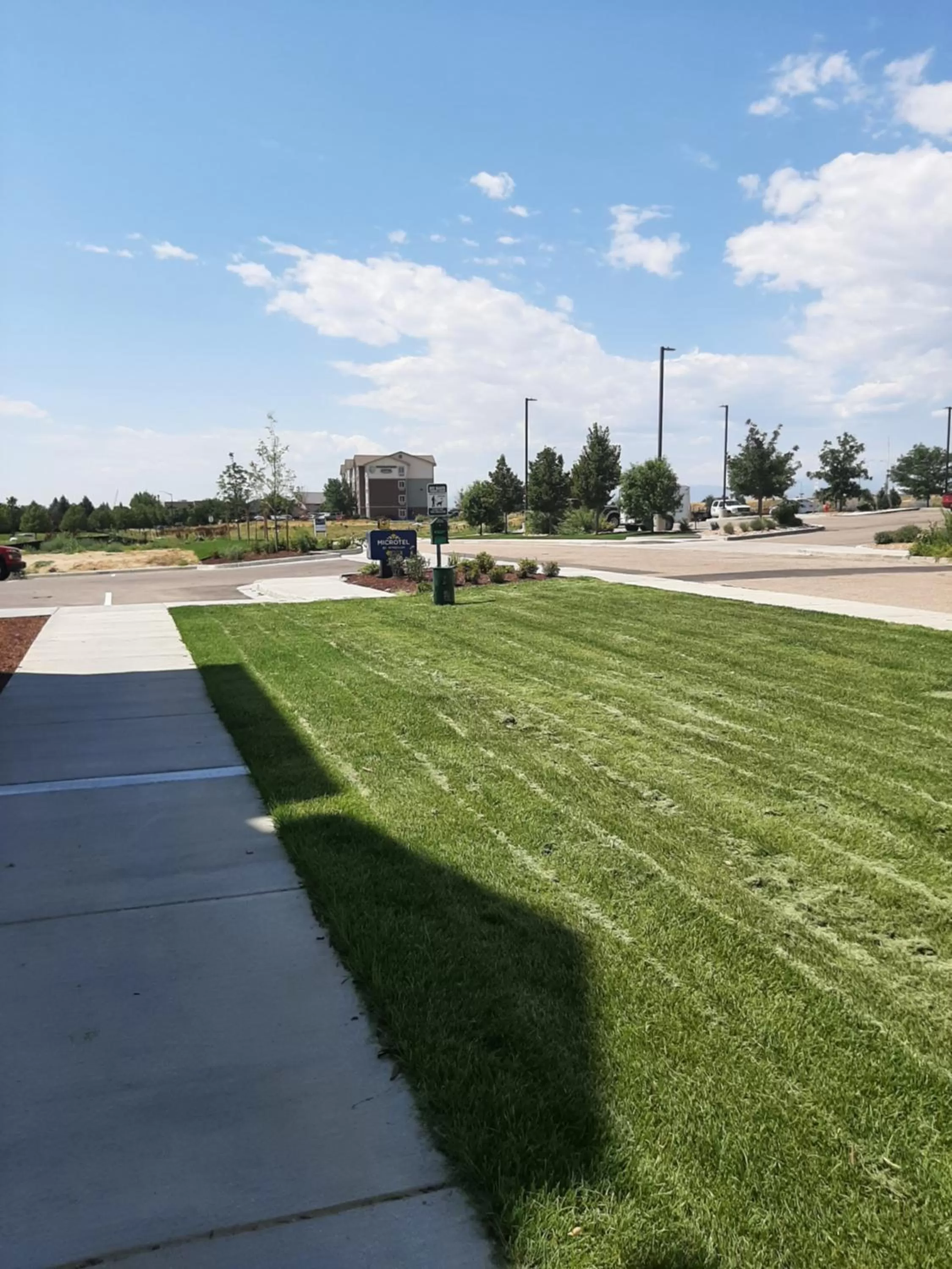 Natural landscape in Microtel Inn & Suites by Wyndham Loveland