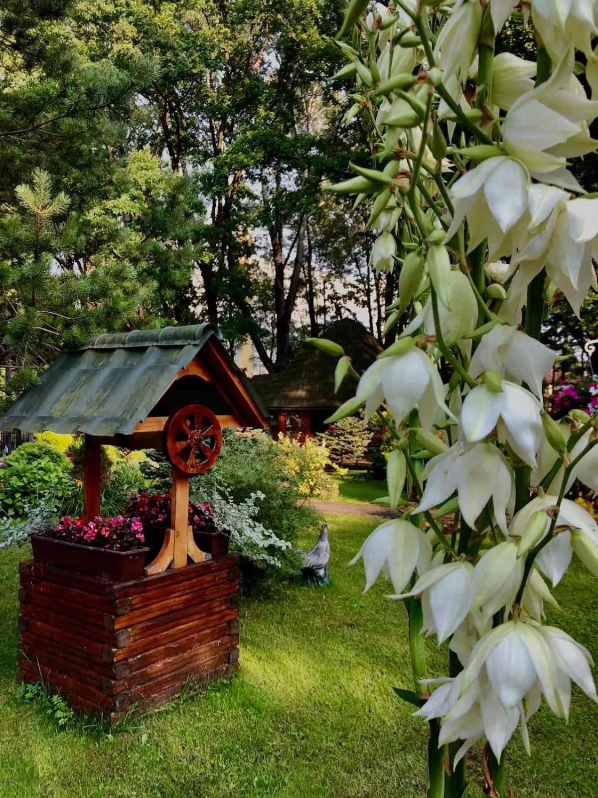 Garden in Morshynska Vezha Hotel
