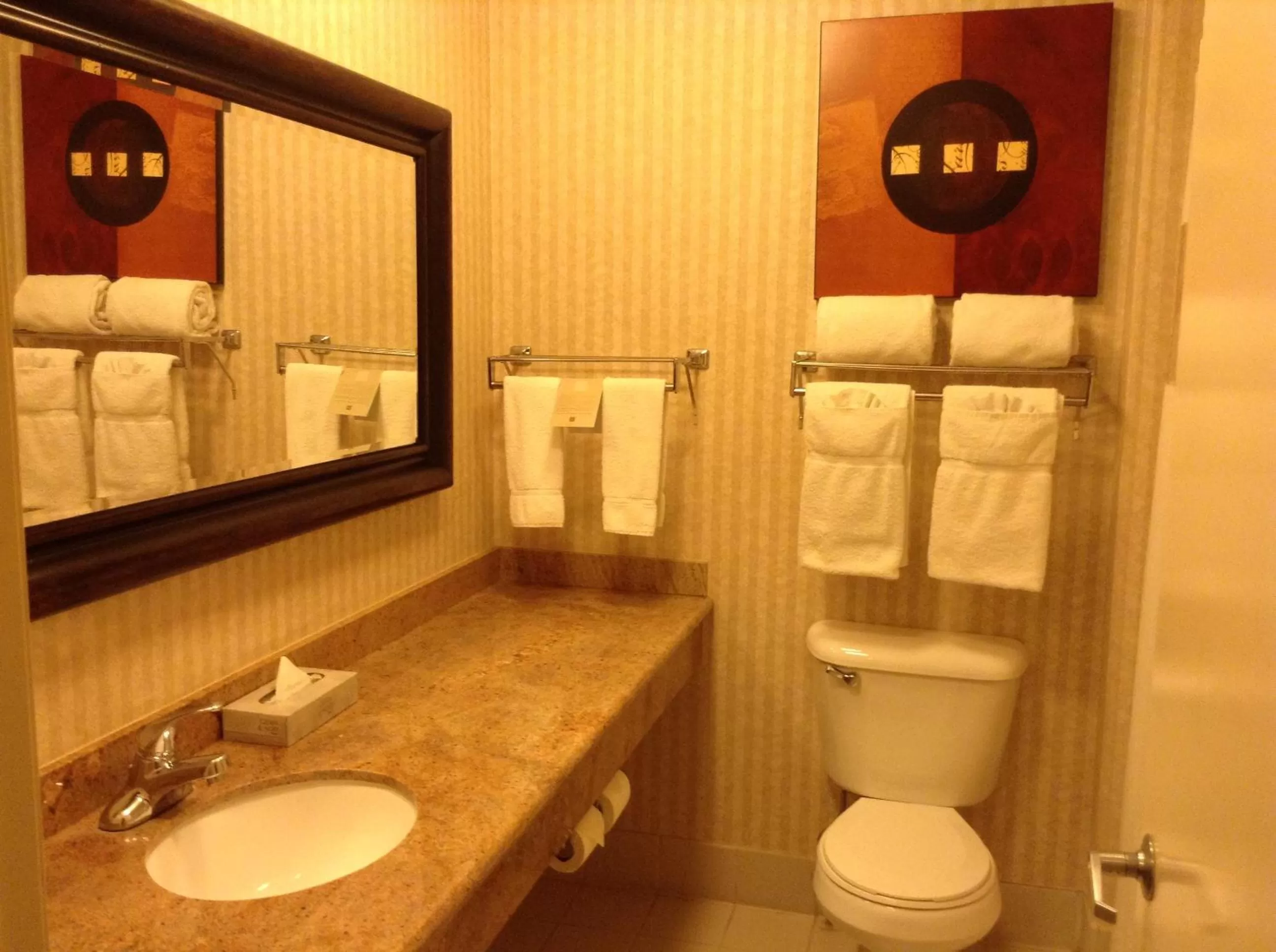 Toilet in Borrego Springs Resort
