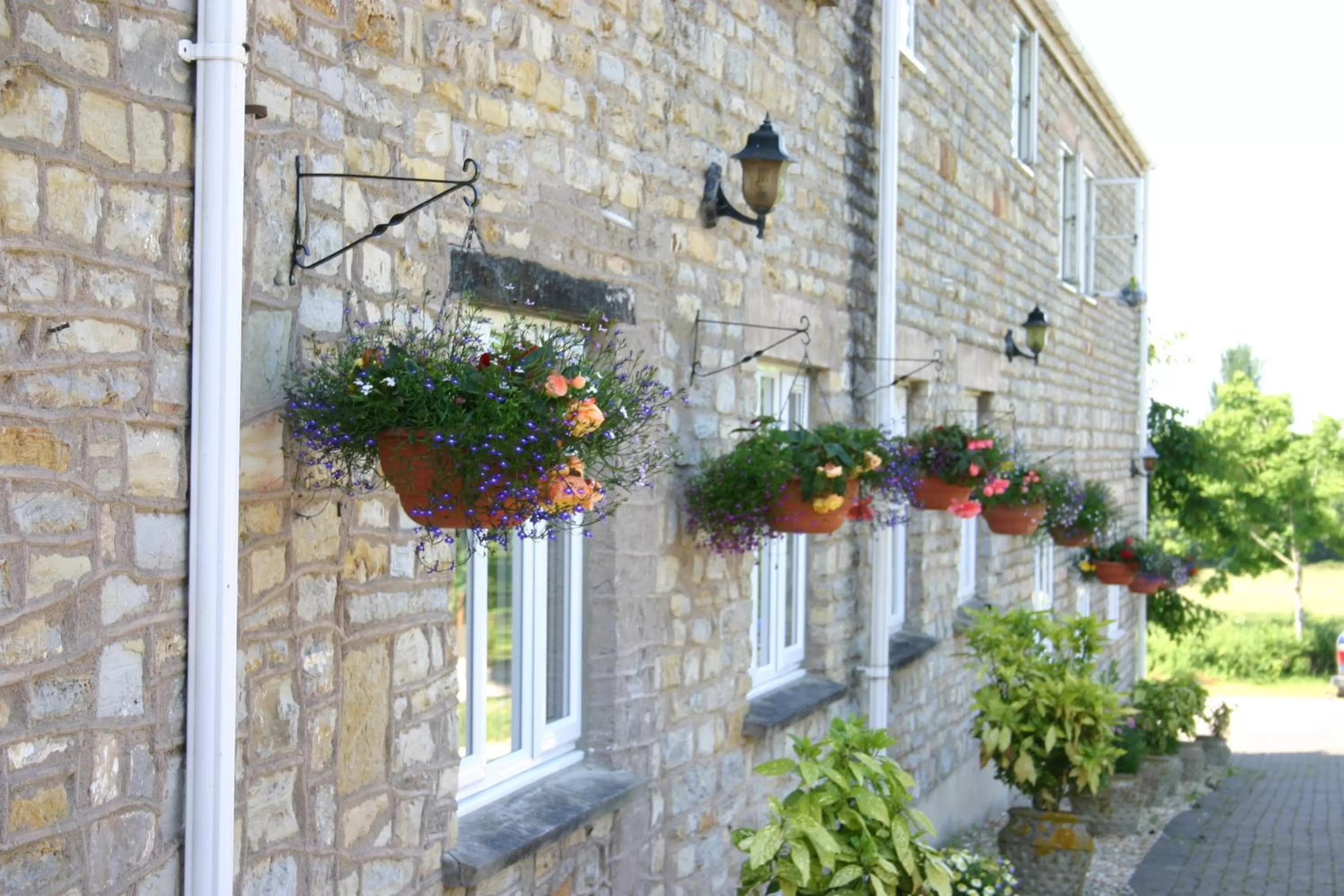 Facade/entrance in Crossways