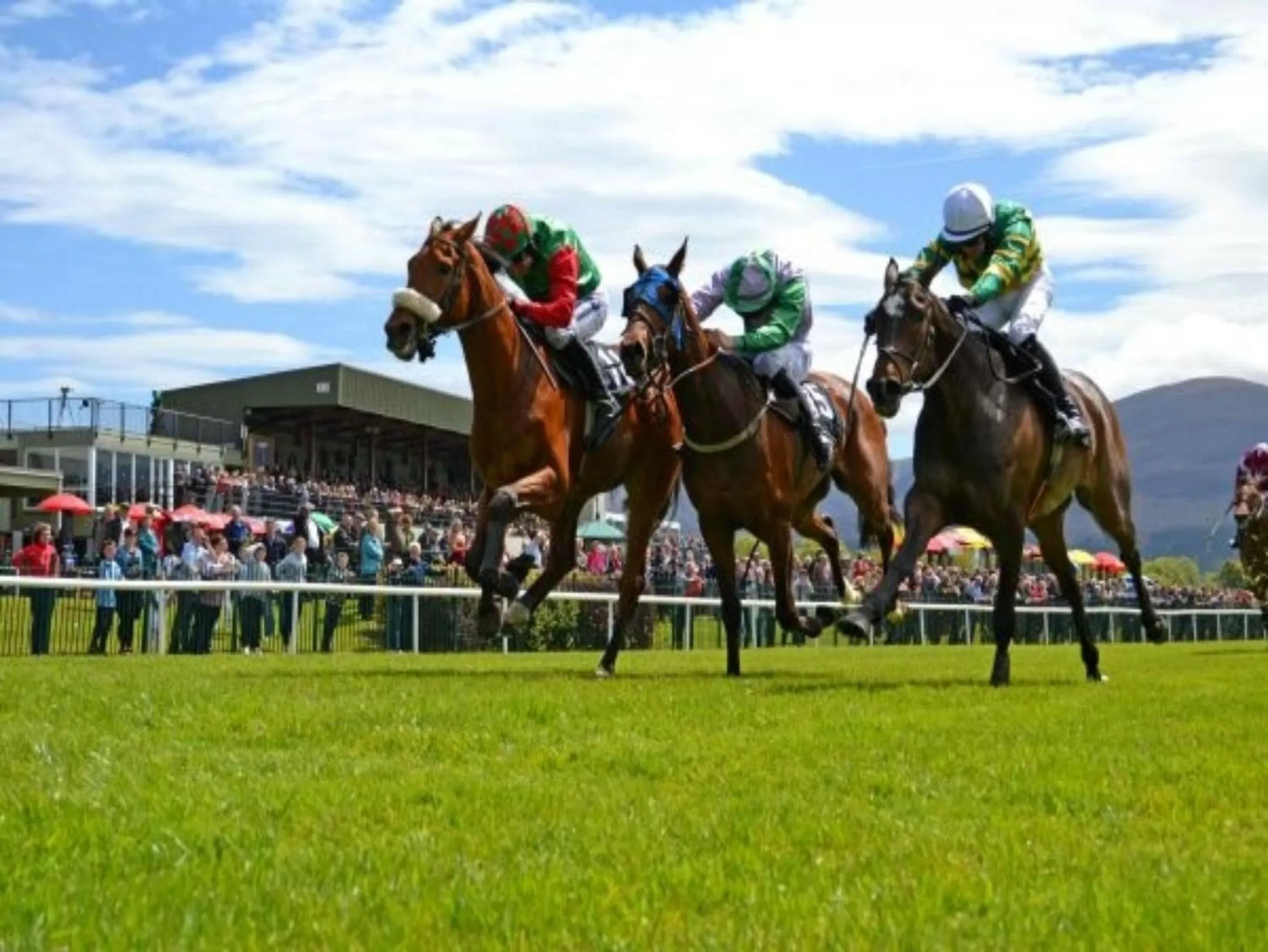 Area and facilities in Killarney Randles Hotel