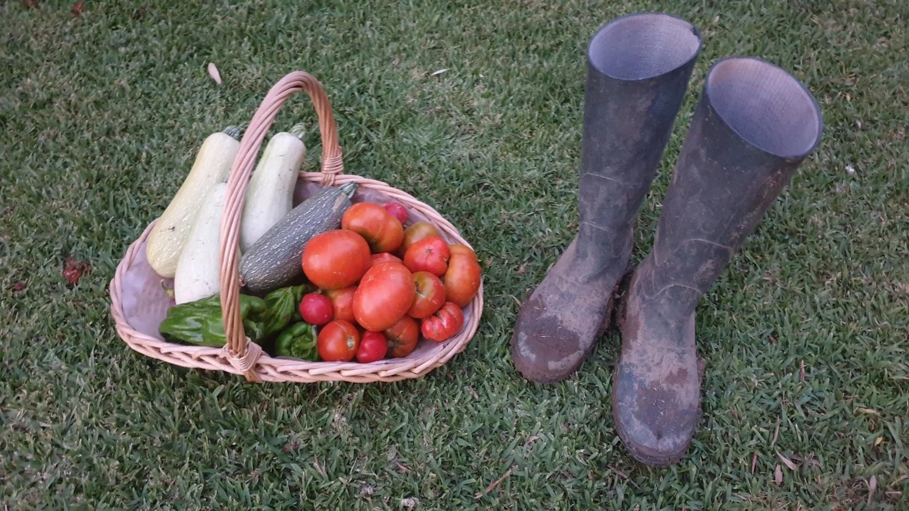Food in La Casa del Torreón