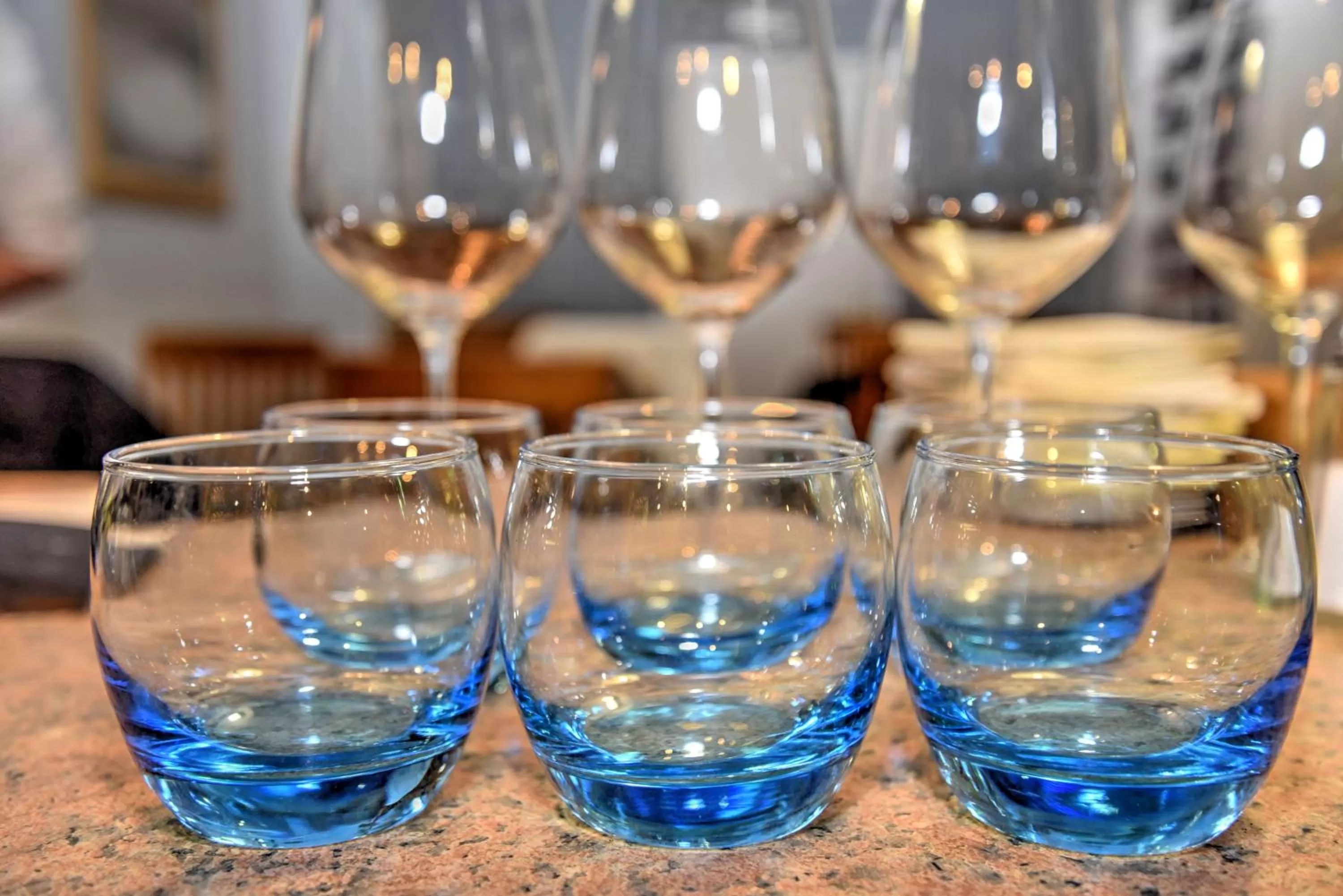 Dinner in Plas Tan-Yr-Allt Historic Country House & Estate