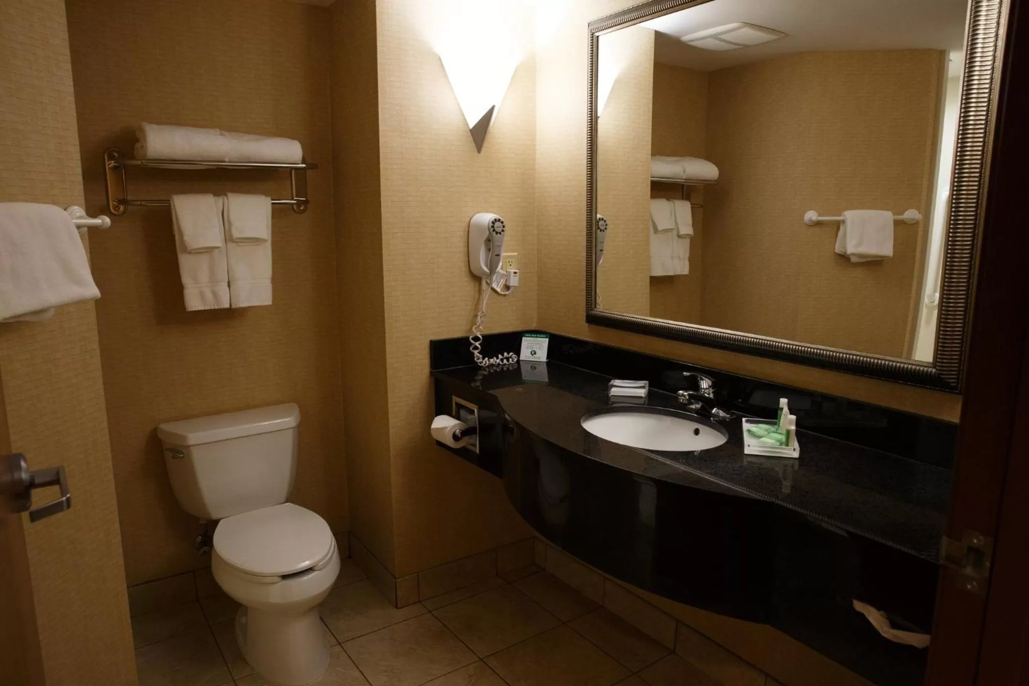 Bathroom in Holiday Inn Battle Creek by IHG
