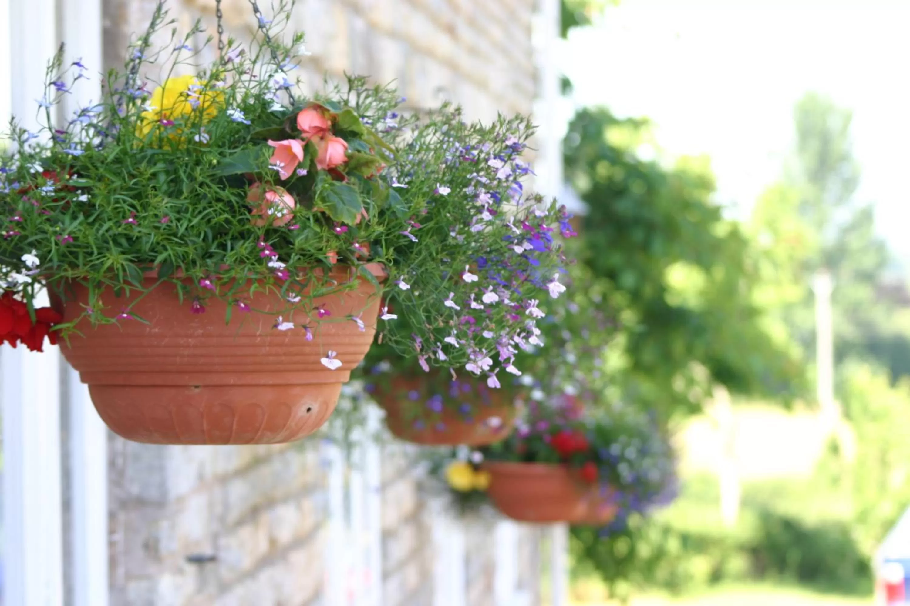 Facade/entrance in Crossways
