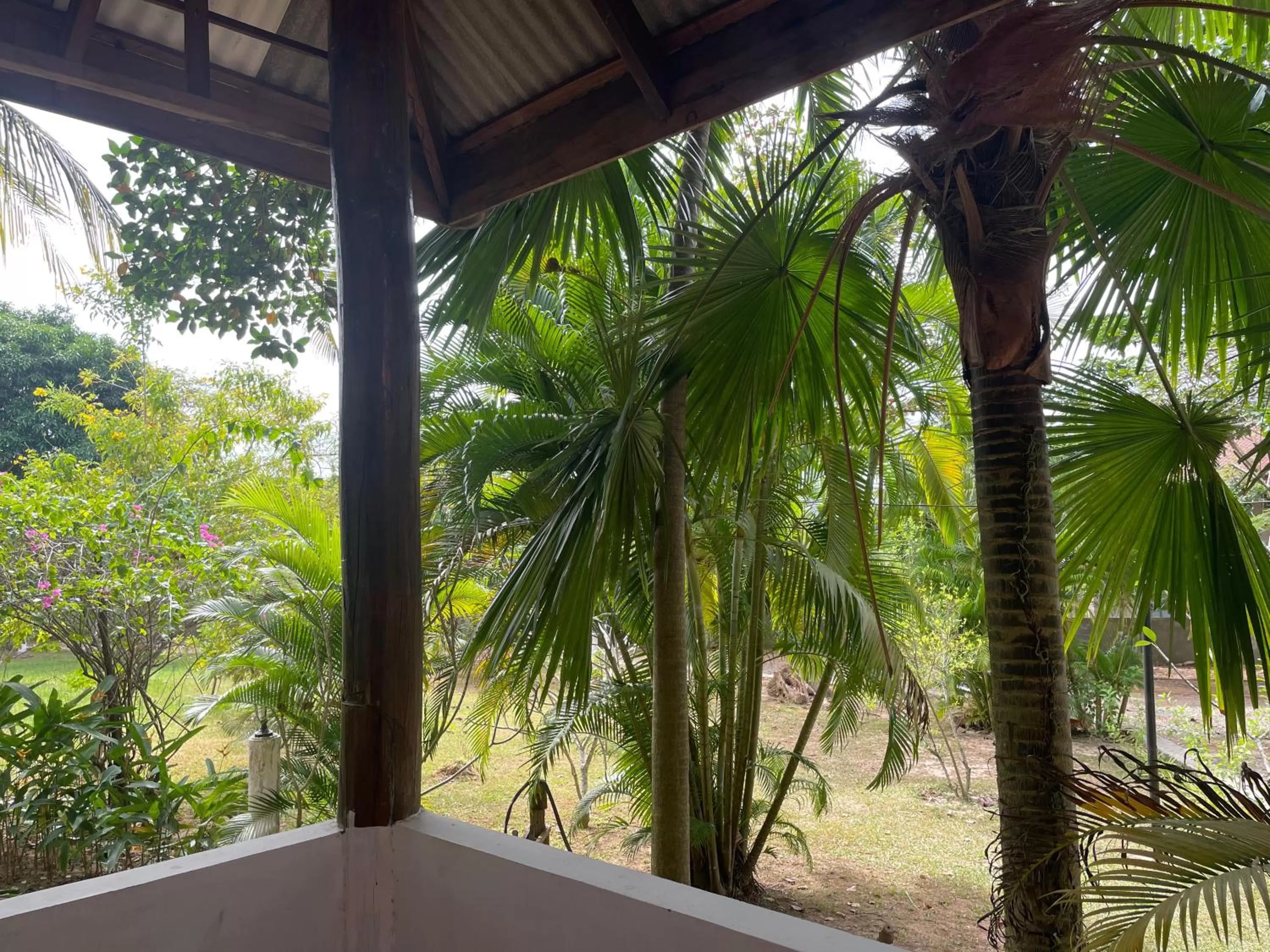 Natural landscape in Kep Lodge